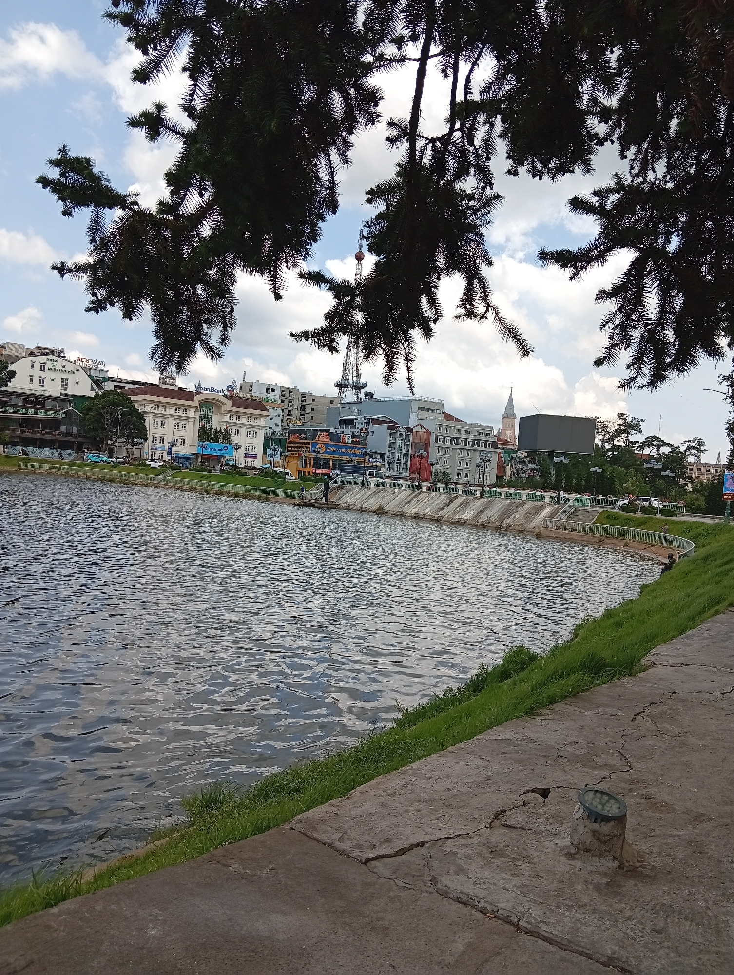 The photograph shows a view of Xuan Huong Lake in Da Lat, Vietnam. The lake is calm with visible ripples on the surface. The foreground features a concrete embankment with patches of grass growing along the edge. An in-ground light fixture is visible embedded in the concrete. Overhanging branches of a pine tree partially obscure the view of the cityscape across the lake. The buildings in the background include commercial and residential structures, a radio tower, and a church spire. The sky is partially cloudy.