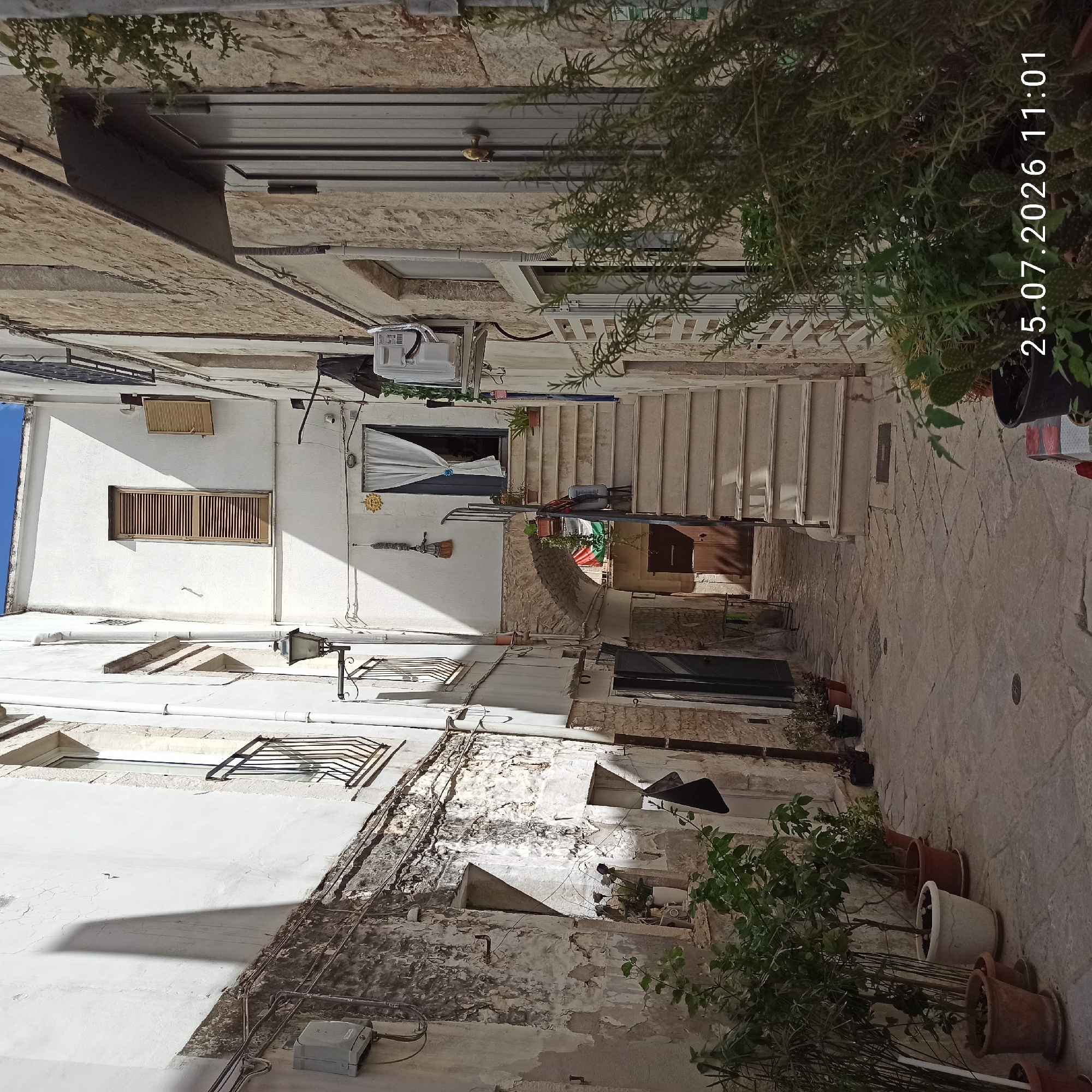 The image depicts a narrow, stone-paved alleyway in Ruvo di Puglia, Italy. The alley is flanked by aged, white-washed buildings, some with visible signs of wear and peeling plaster, and others constructed with rough-hewn stone. Sunlight casts strong shadows across the scene.
On the left side of the alley, a white building features a black metal railing on a small balcony, electrical conduits, and a grey electrical box attached to the wall. A row of potted plants, including large leafy specimens and smaller potted plants, are lined up along the base of the building.
The right side of the alley showcases a stone building with a metal awning above a grey, paneled door. Further down the alley, a set of light-colored stone stairs ascends to an arched entryway with a white curtained door. Above the archway, a window with wooden shutters is visible. A lantern hangs from the wall near the stairs, and various hanging decorations are present.
At the top of the stairs, a white curtain hangs in an open doorway. Further up, on the left building, a tall window with wooden shutters is closed, while a smaller open shutter is visible on a higher window.
The ground of the alley is paved with large, irregular stone slabs. Several potted plants are scattered along the alleyway.
In the foreground on the right, a dense arrangement of green plants, including rosemary and cacti, is prominently featured. Overlaid on the image is a timestamp: "25.07.2026 11:01".