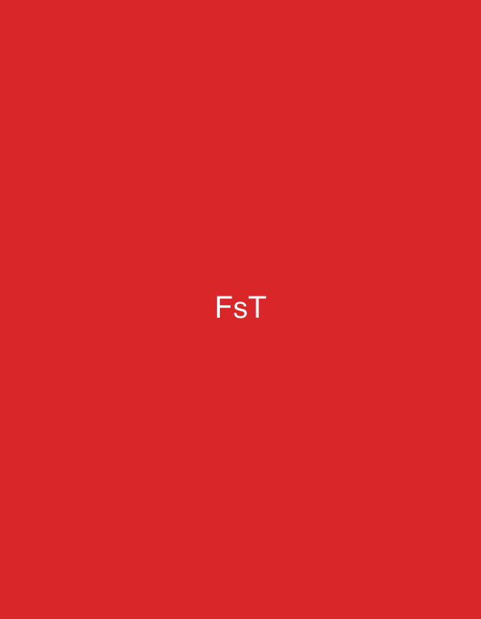 The image displays a solid, vibrant red background. Centered horizontally and slightly below the vertical midline of the frame, the white sans-serif text "FsT" is visible. The scene contains no discernible people, subjects, objects other than the text, actions, interactions, or physical environment, precluding any identification of a specific location such as Casablanca, Morocco.