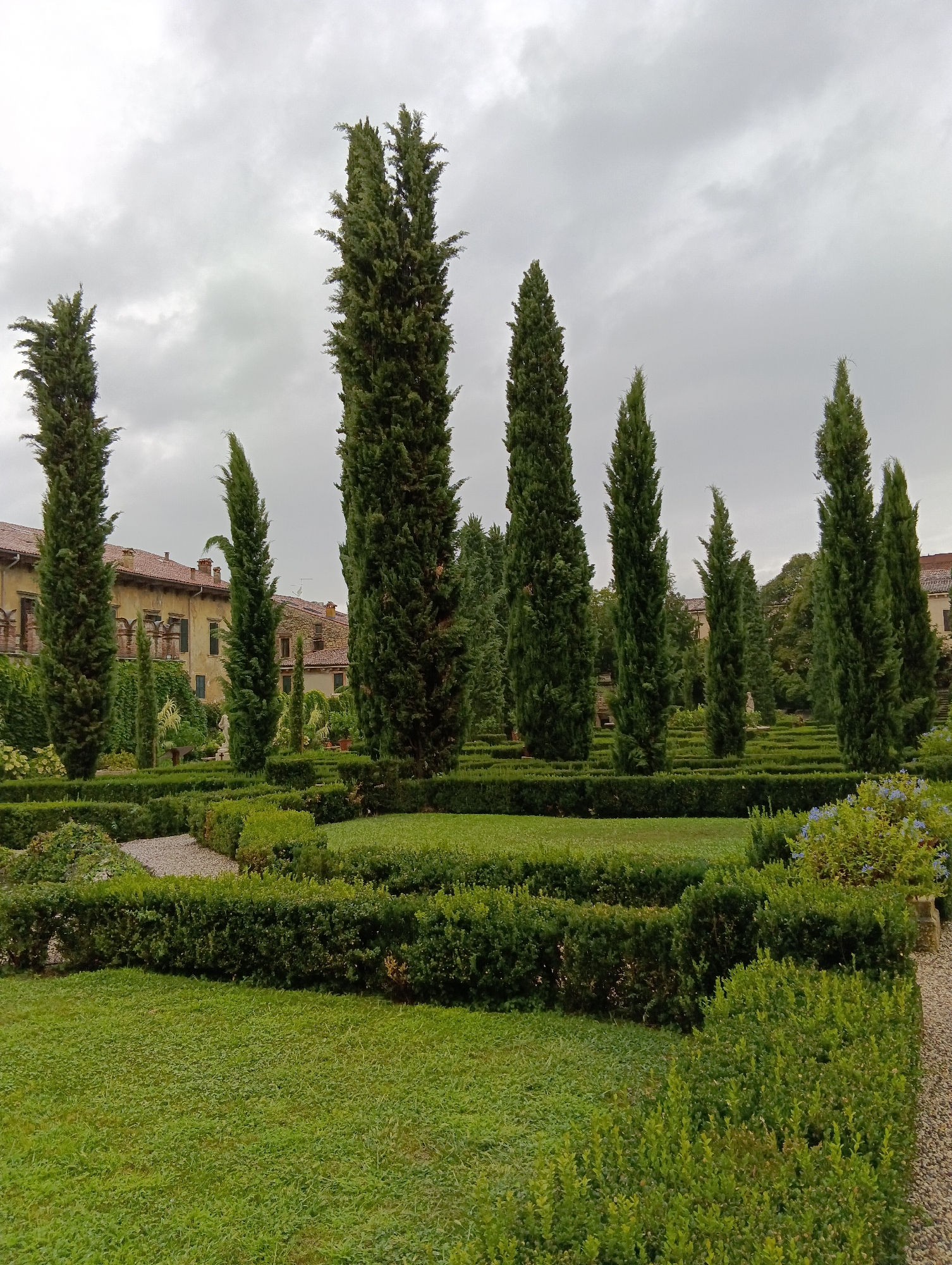 The image depicts a formal garden with manicured hedges and tall cypress trees. In the background, there is a building with terracotta roofs, typical of Italian architecture. The sky is overcast, suggesting a cloudy day. This scene is located in the Giardino Giusti in Verona, Italy, a historic Italian Renaissance garden known for its symmetrical design and classical statues. There are no people visible in the image.
