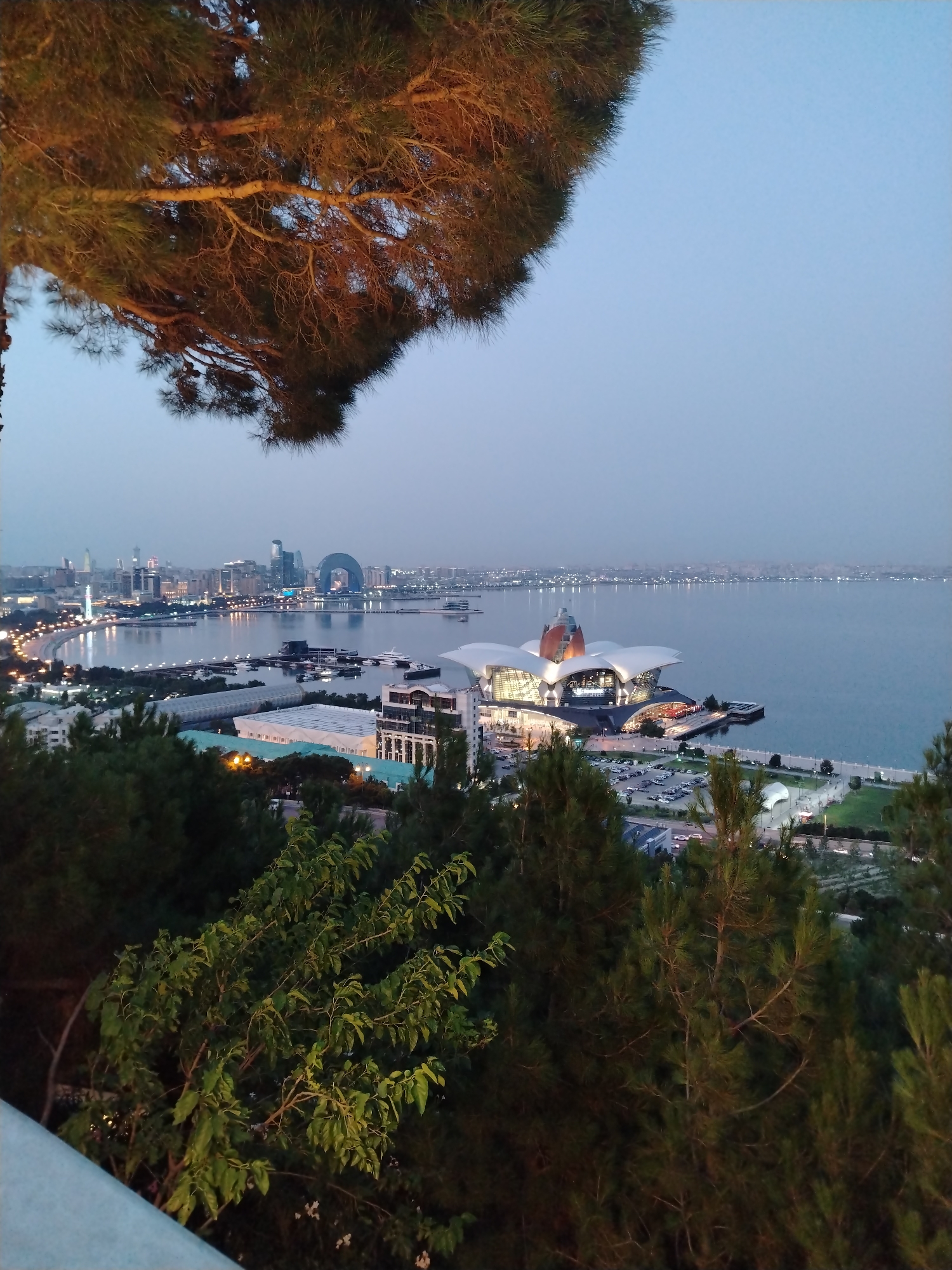 The image captures a panoramic view of the Baku Boulevard and the Caspian Sea in Sabail Raion, Azerbaijan, during twilight. In the foreground, the branches of a pine tree frame the scene from the top left, with its needles illuminated by warm light. The middle ground features a modern architectural complex with white, petal-like structures and a central orange dome, situated near a body of water with several docked boats and yachts. Beyond this, the Baku skyline stretches across the horizon, characterized by illuminated buildings, including the distinctive Flame Towers and the Heydar Aliyev Center, their lights reflecting on the calm waters of the sea. The sky is a soft, hazy blue, indicative of the early evening. There are no people or animals visible in the frame. The overall scene depicts a serene urban coastal landscape at dusk.