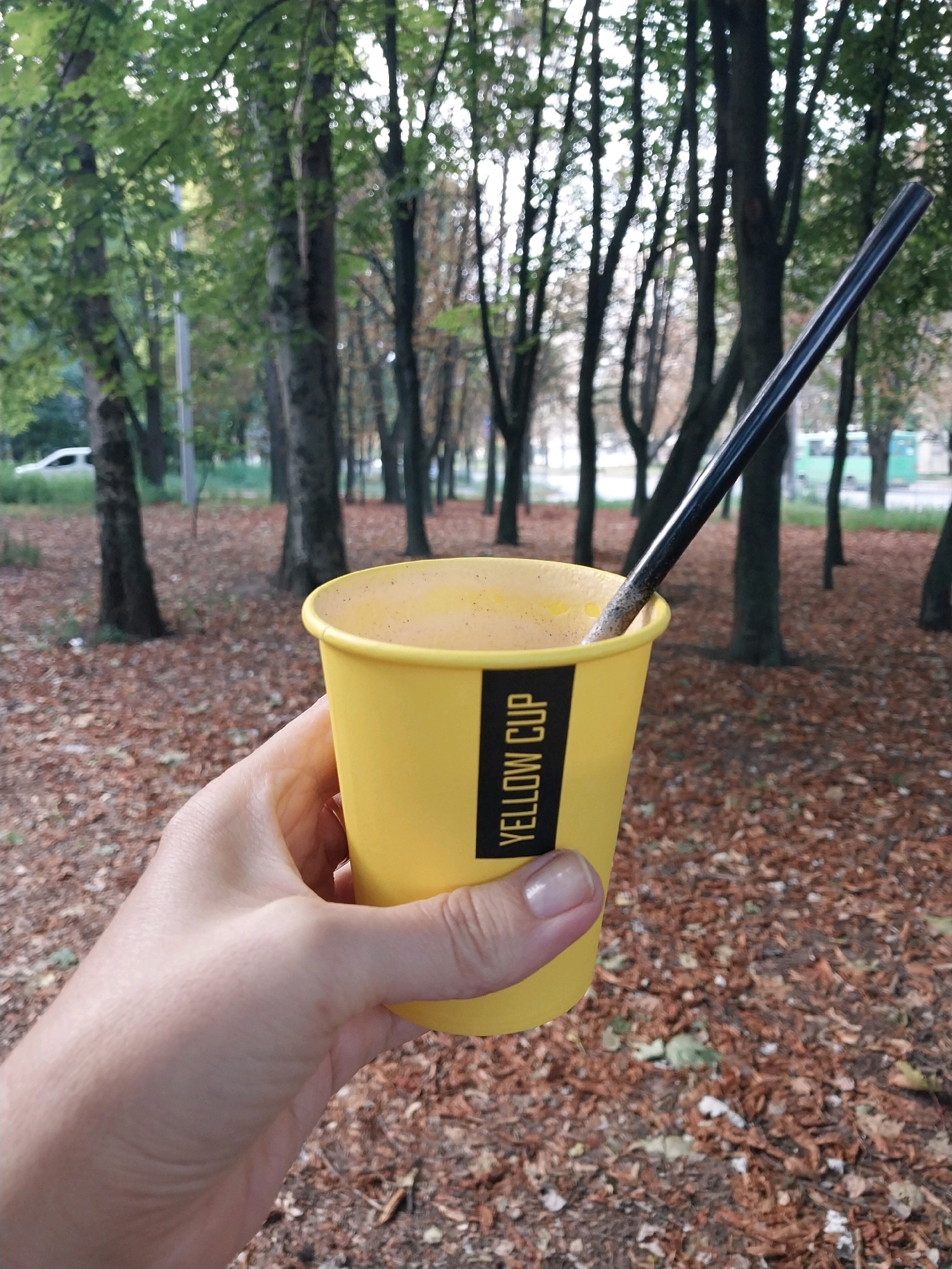 A first-person perspective shot shows a person's hand holding a yellow disposable cup with a black straw. The cup has a black label that reads "YELLOW CUP". The background is a park with trees and fallen leaves, suggesting an autumn setting. The location is identified as the city of Dnipro, Ukraine, possibly in a park. There are no other people visible in the image, and the focus is on the cup and hand. The lighting appears to be overcast, typical of an autumn day.