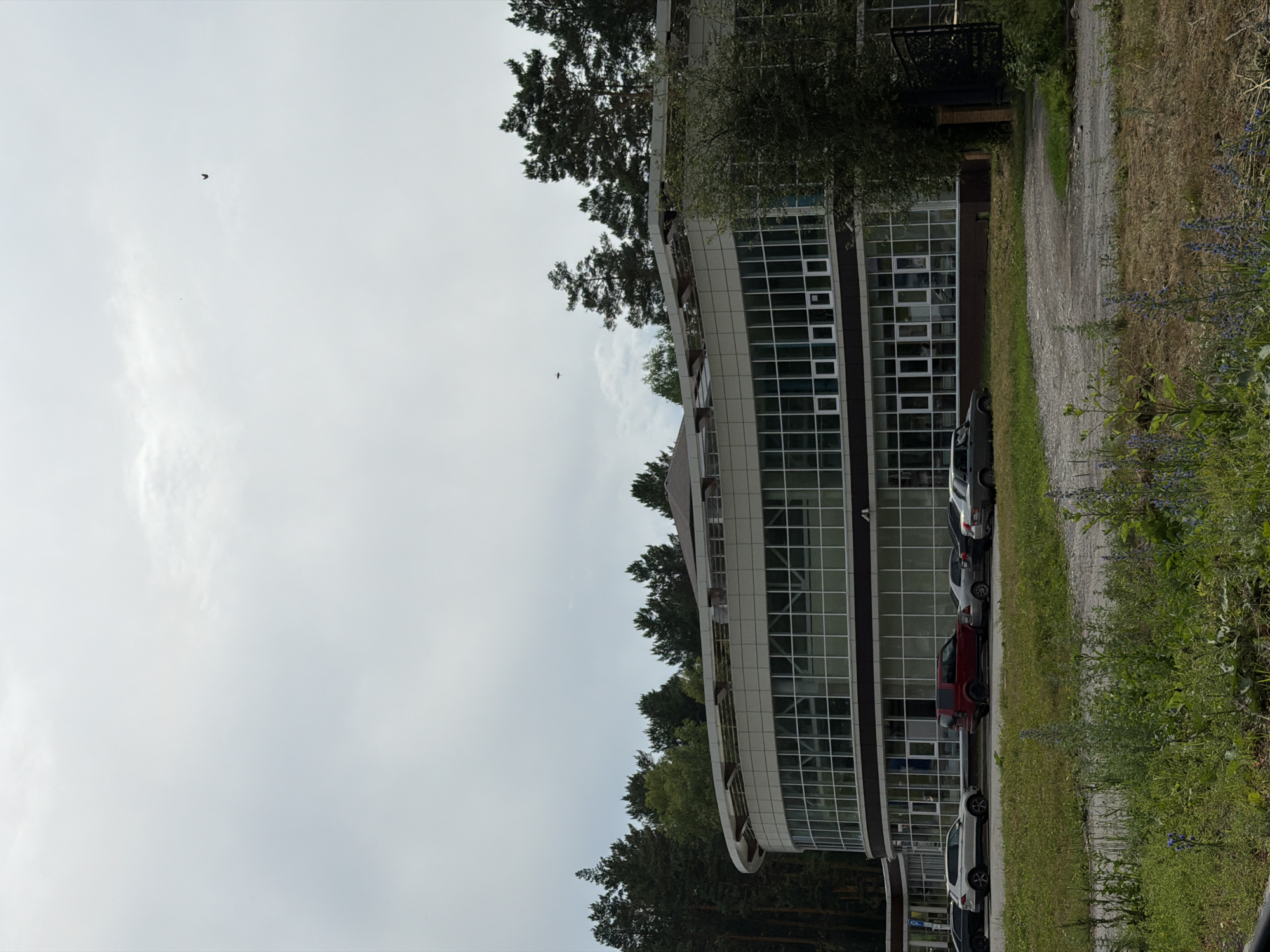 The image shows a modern, multi-story building with a curved facade of large glass windows. The building appears to be located in a semi-urban or suburban area, with a line of pine trees visible behind it and a grassy area with wildflowers in the foreground. Several cars are parked in front of the building. The sky is overcast. The specific location in Katun, Russia, cannot be determined from the image alone, but the presence of pine trees suggests a possible forest or park setting near a settlement.