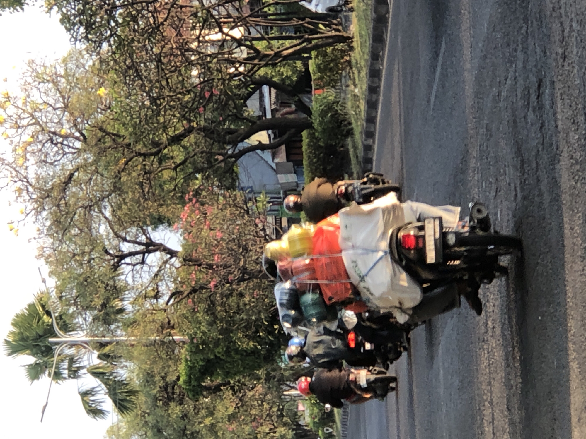 The image captures a street scene in the city of Gelam, Indonesia, likely during the daytime given the lighting. The foreground features several motorbikes navigating a paved road. The lead motorbike, closest to the viewer, is heavily laden with various items, including what appear to be large sacks, red boxes, and possibly some yellow cylindrical objects, all secured with ropes or netting. The rider of this motorbike is wearing a white shirt and pants. Behind this motorbike, another rider is visible with a dark-colored jacket and helmet. Further ahead, a third motorbike with a red helmet is seen, followed by a motorbike with a blue helmet. In the background, trees line the street, some with blooming pink and yellow flowers. A street light with multiple arms is also present. Buildings and greenery are visible behind the trees, suggesting a semi-urban or suburban environment. The road has a distinct edge with a series of black and white border stones. The overall impression is one of daily life and transportation in a bustling Indonesian city.