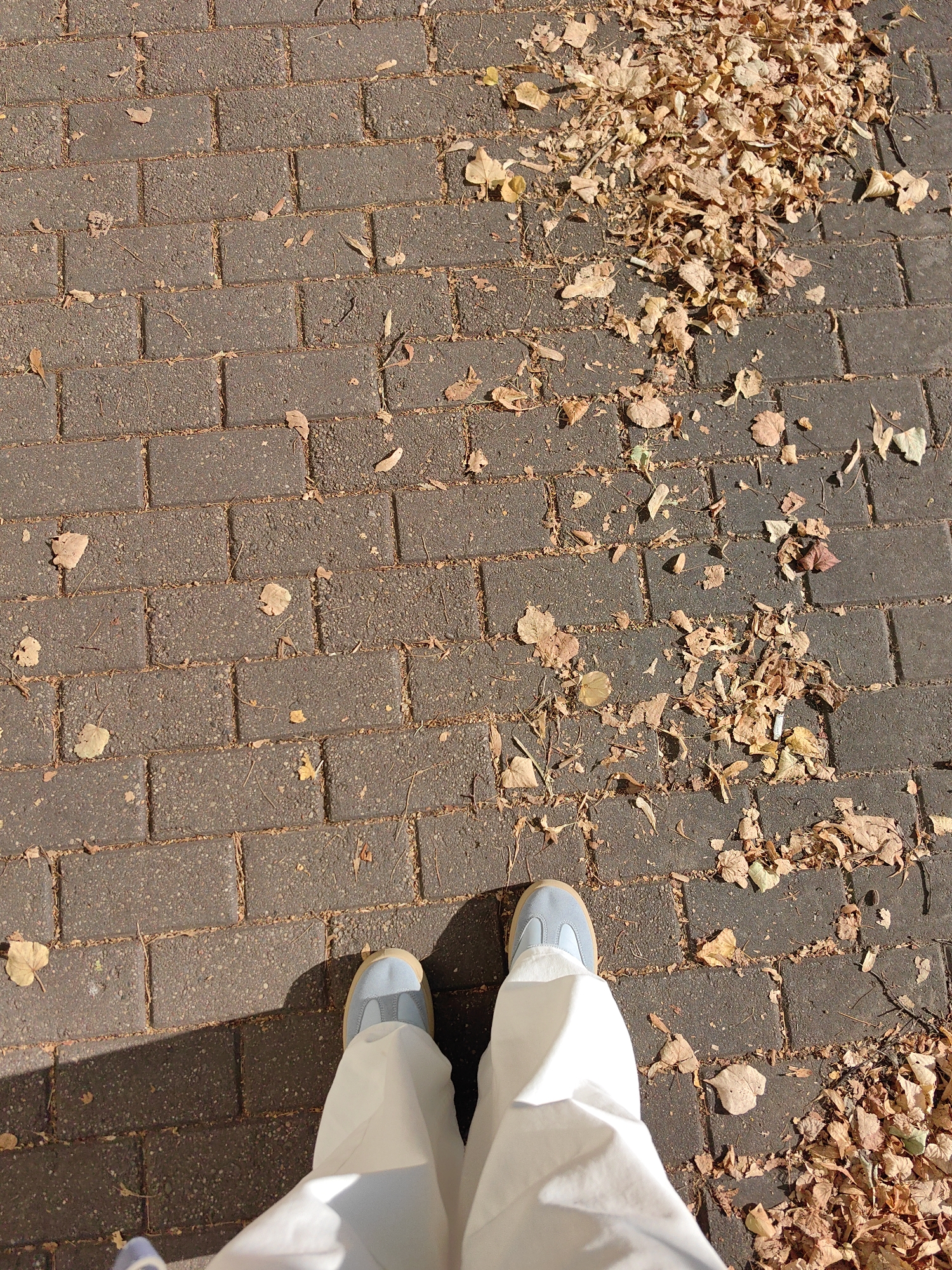This is a top-down, medium shot of a person's lower legs and feet standing on a brick pathway covered with fallen autumn leaves. The pathway is made of rectangular, dark gray bricks laid in a running bond pattern. Scattered across the bricks are numerous dry, brown and tan leaves, with a larger pile of leaves accumulated to the right of the frame. The person is wearing loose-fitting, light-colored pants and light blue shoes with tan soles. A shadow of the person falls across the left side of the pathway. The scene appears to be outdoors, likely in a park or on a city sidewalk, given the brick paving and fallen leaves. The image does not contain any specific elements that would allow for precise location identification within Minsk, Belarus.