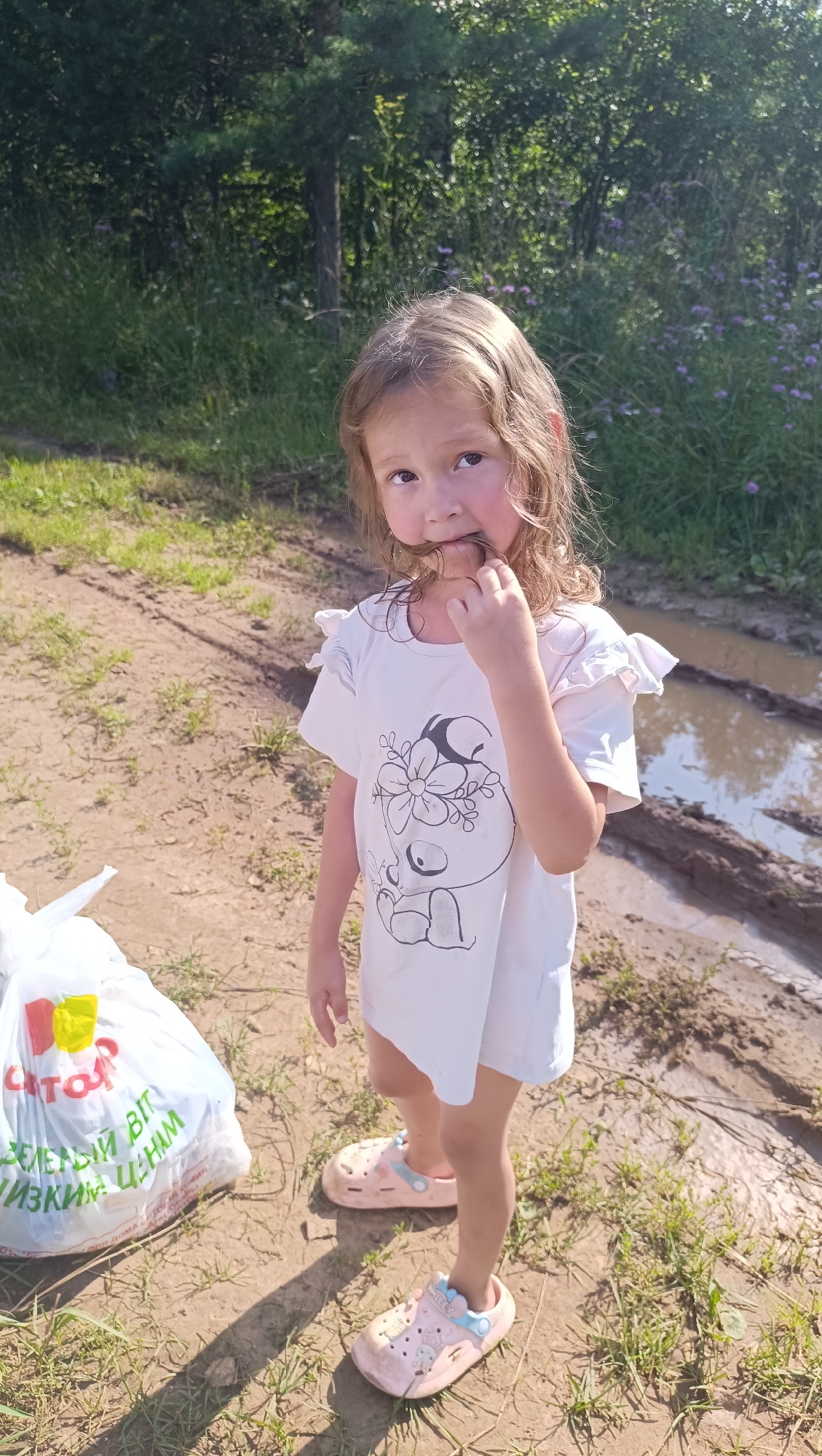 A young girl with light brown curly hair stands in a dirt path outdoors. She is wearing a white t-shirt with a black and white cartoon image of an animal with flowers on it and pink slip-on shoes with cartoon characters. Her right hand is in her mouth, seemingly chewing on something, possibly her hair or a small object. A white plastic bag with red and green writing is to her left. The background shows a grassy area with trees and purple flowers, and a muddy puddle. The scene suggests a sunny day, likely in the afternoon, given the strong shadows. The overall impression is one of a child playing or exploring in a rural or semi-rural outdoor environment.
The visible text on the bag is in Cyrillic script and appears to be part of a product label or branding. Partial words visible include "ТО", "ЗЕЛЁНЫЙ ВЫБ", and "ИЗКИМ ЦЕНЫМ".
The setting is outdoors in Karsha, Russia. The presence of a muddy path and puddle suggests recent rain or a naturally damp area. The lush greenery and trees indicate a time of year with warm weather, likely summer. The child's expression is neutral, possibly a bit curious or contemplative as she chews.