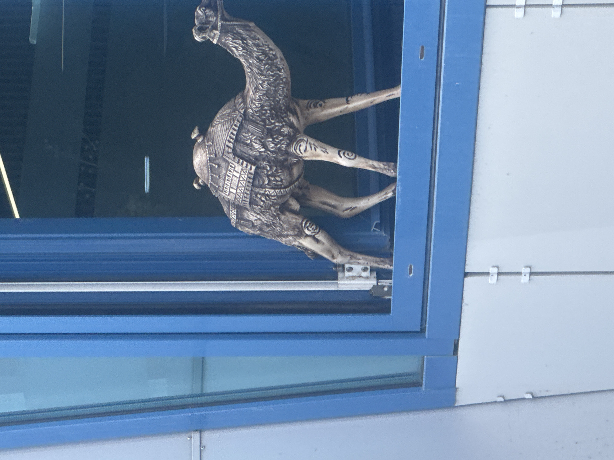 This is a close-up, slightly angled shot of a decorative, ornate statue of a camel. The statue appears to be made of a dark metal, possibly bronze or cast iron, with intricate carvings and patterns covering its body and hump. The camel is positioned as if it is walking or moving, with its legs splayed out. Its head is raised and its neck is curved.
The statue is placed inside a window frame, which is painted a bright blue. The window itself looks out onto a dark, reflective surface, possibly another building or a very dark sky. The exterior of the building where the statue is displayed is clad in light-colored panels. The overall impression is of an artistic display in an urban setting. There is no indication of people, a specific time of day, or weather conditions. The location context provided is Krasnodar, Russia.