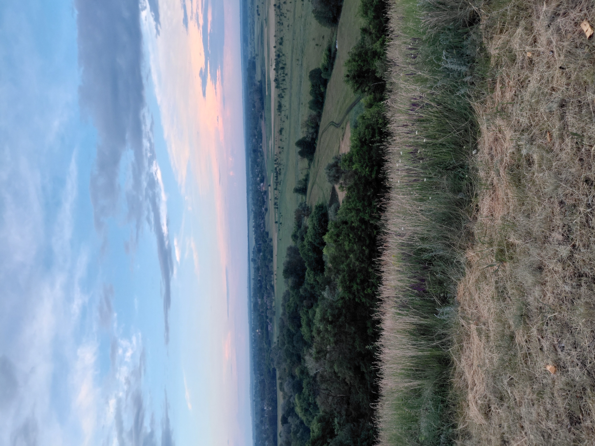 The image depicts a panoramic view of a rural landscape at dusk, likely in or near Ustyvytsia, Ukraine. In the foreground, tall, dry grasses and some green vegetation cover a grassy slope. Beyond this, a dense forest dominates the middle ground, with varied shades of green foliage. Further in the distance, a sprawling village or small town is visible, characterized by numerous buildings nestled amongst trees and fields. The background features a wide, open expanse of cultivated fields and meadows stretching towards the horizon. The sky above is a blend of soft blues and pale pinks, with scattered clouds, indicating either sunrise or sunset. The overall impression is one of tranquility and natural beauty.