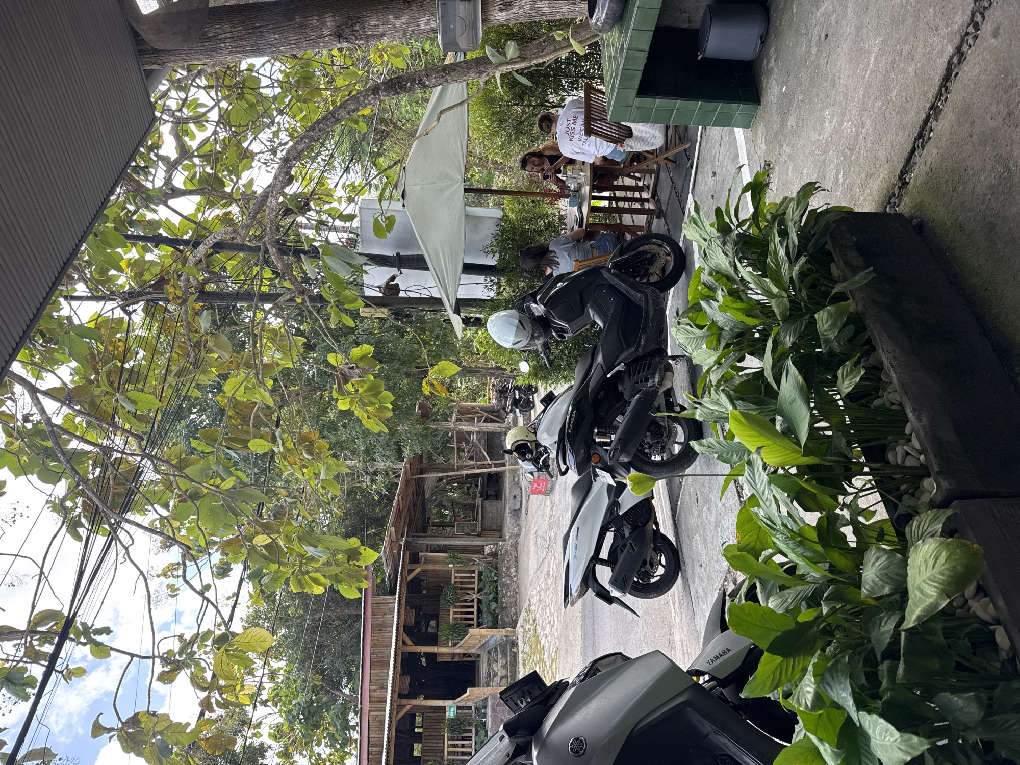 The image depicts an outdoor seating area of a cafe or restaurant in Kuta Selatan, Indonesia. In the foreground, a row of lush green plants in a concrete planter box lines the edge of a concrete patio. To the left, the rear portion of a gray Yamaha scooter is visible. Behind the plants, two other scooters are parked, one white and one black.
Further back, there is a wooden building with a corrugated metal roof, which appears to be the establishment. In front of the building, there are stone steps leading up to an entrance.
To the right of the image, an outdoor seating area is set up under a large, light green umbrella. Three people are seated at a wooden table. Two women are facing the camera, and a third person is partially visible. One of the women is wearing a white t-shirt with text that appears to say "JUST KISS ME WE CAN TALK".
The environment is tropical, with abundant trees and foliage surrounding the area. The sky is visible through the branches of a large tree in the upper portion of the image, with some clouds and power lines. The overall scene suggests a relaxed outdoor dining or gathering space.