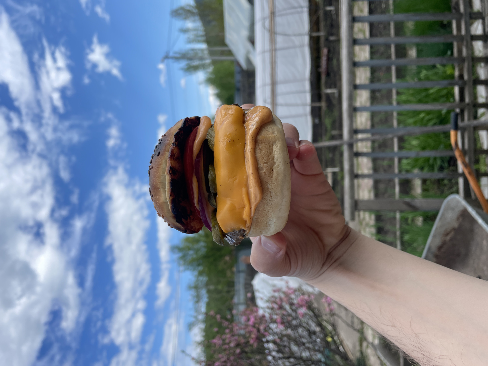 A hand holds a burger against a backdrop of a blue sky with white clouds. The burger consists of a sesame seed bun, what appears to be a grilled patty, tomato, red onion, pickles, a slice of cheese, and sauce. In the background is vegetation, possibly a garden, a white structure which may be a greenhouse, and a wooden fence or trellis. A wheelbarrow is also partially visible. The location is inferred to be close to the city of Манский, Russia due to the user's request.