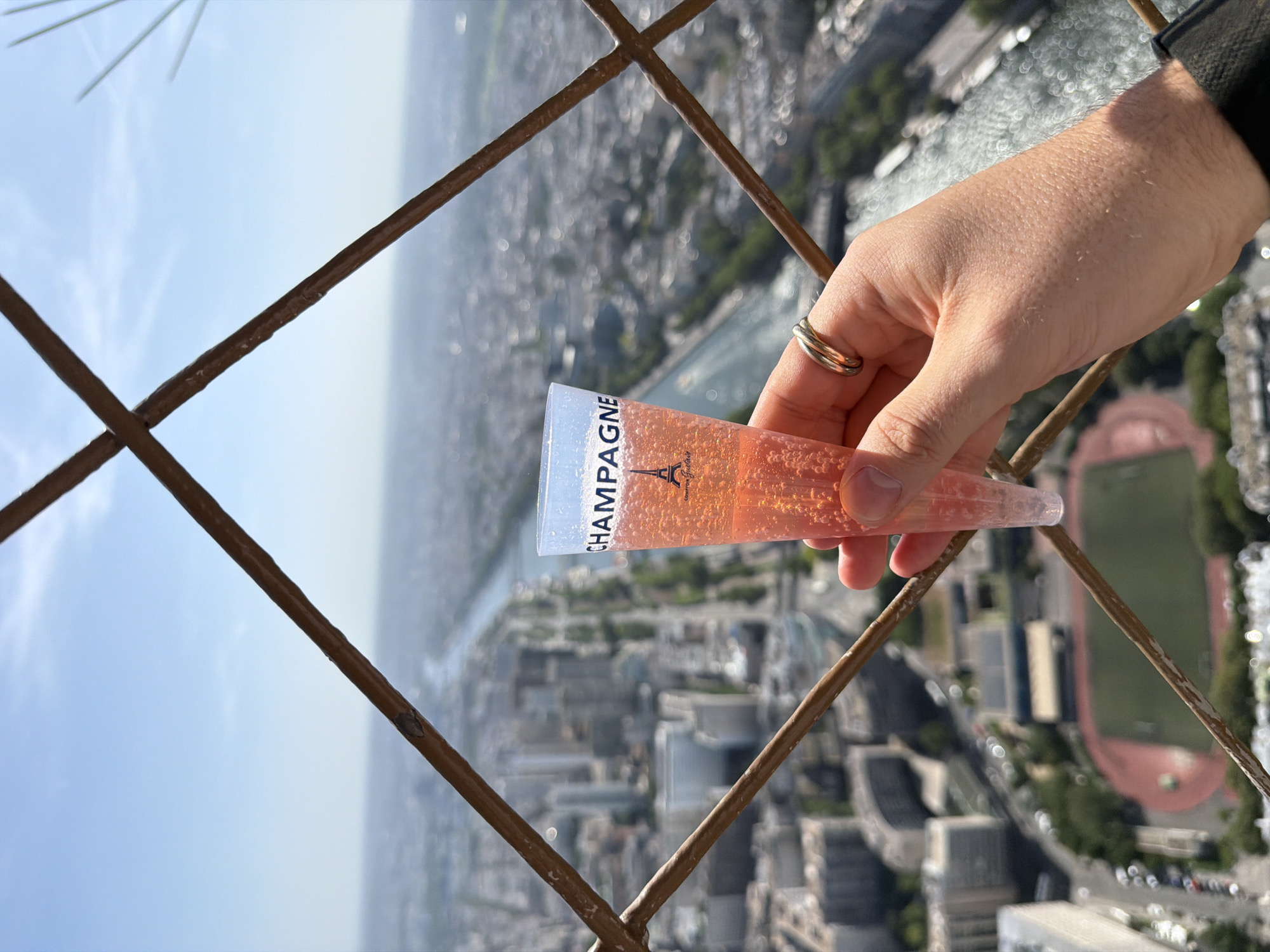 A high-angle, medium shot shows a person's hand holding a tube of pink liquid labeled "CHAMPAGNE" with an image of the Eiffel Tower. The hand has a wedding band. The background is the city of Paris as seen from above, possibly from the Eiffel Tower itself. A metal barrier is in the foreground, partially obstructing the view. The sky is visible in the background. The River Seine and numerous buildings are visible in the city below.