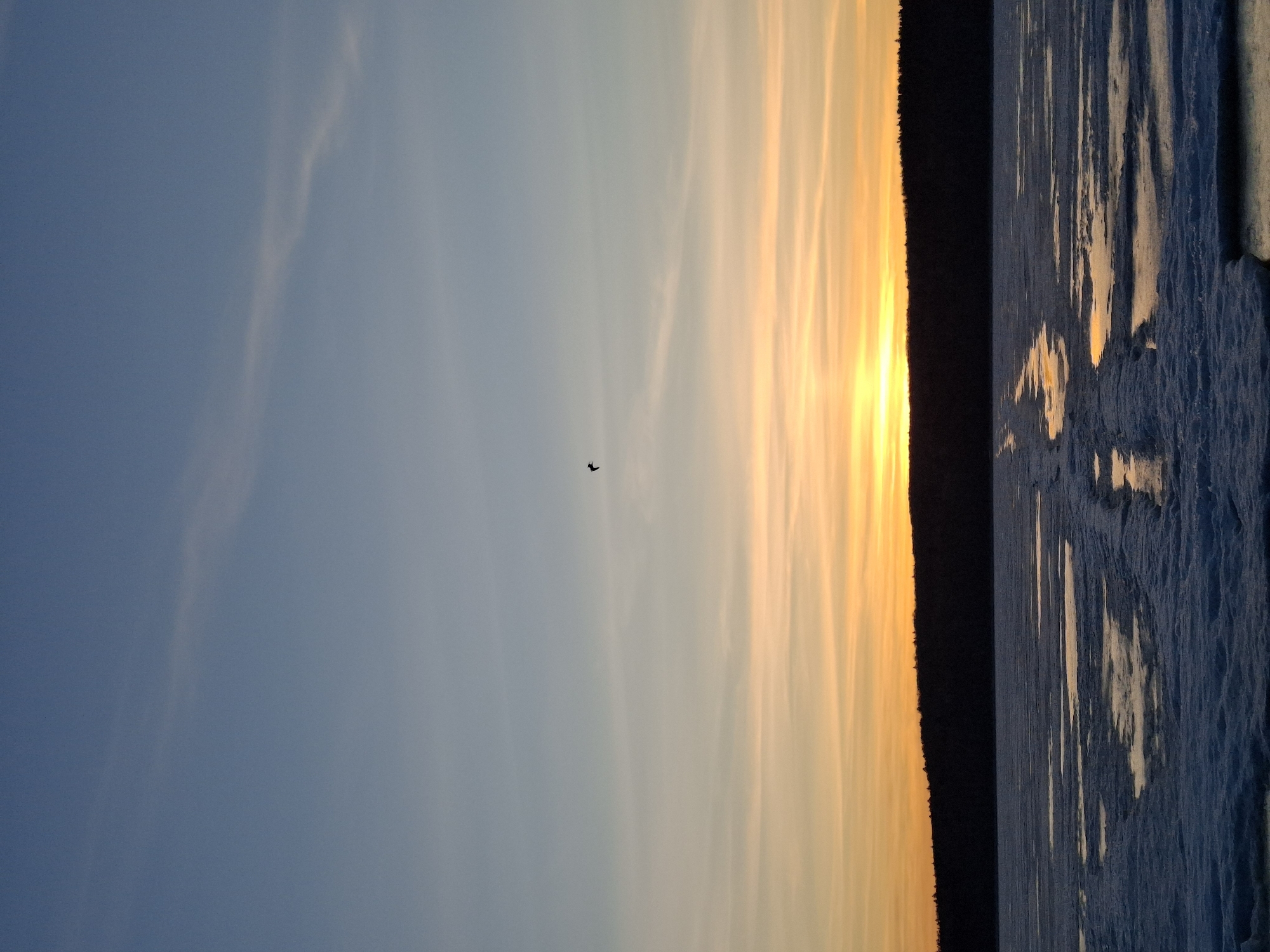 The image captures a serene winter landscape at either sunrise or sunset, presented with a 90-degree clockwise rotation. When viewed horizontally, the sky dominates the upper two-thirds of the frame, displaying a vibrant gradient from a soft blue on the left to brilliant golden yellow and orange on the right, indicating the low position of the sun. Wispy, delicate clouds are faintly visible across the sky.
A dark, narrow silhouette of land, likely a distant forest or treeline, stretches across the horizon, separating the colorful sky from the foreground. The foreground consists of a frozen body of water, such as a lake or river, covered in textured ice and snow. The rough surface of the ice reflects the warm light from the sky, creating shimmering golden streaks and patches across the blue-toned frozen expanse.
A single, small, dark bird is captured in flight against the illuminated sky, positioned in the blue-to-yellow transition area. There is no visible text. The scene conveys a sense of cold tranquility and natural beauty, consistent with a winter setting in a northern location like Chaikovsky, Russia.