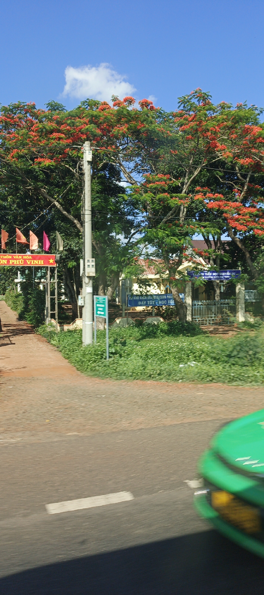 In Chư Sê, Vietnam, a street scene unfolds under a bright blue sky with scattered white clouds. Dominating the upper half of the frame are the vibrant red-orange blossoms of flamboyant trees, their lush green foliage providing a striking contrast. A utility pole with multiple boxes attached stands prominently in the mid-ground, slightly to the left of center. To the left of the pole, a red sign with yellow lettering, possibly a cultural or community notice, is partially visible. Further left, several colorful flags, including red, orange, and pink, are displayed.
In the background, a low-lying building with a light-colored facade and a red roof is visible, surrounded by trees and a fence. A blue sign with white text, likely an educational institution's announcement, is positioned near the building. The foreground features a reddish-brown paved walkway curving to the left, leading to a dirt road. To the right of the walkway, an area is overgrown with green grass and white wildflowers. In the lower right corner, a blurred green vehicle, possibly a taxi, is captured in motion. The overall impression is a bright, sunny day in a town with abundant flowering trees and signs of local activity.