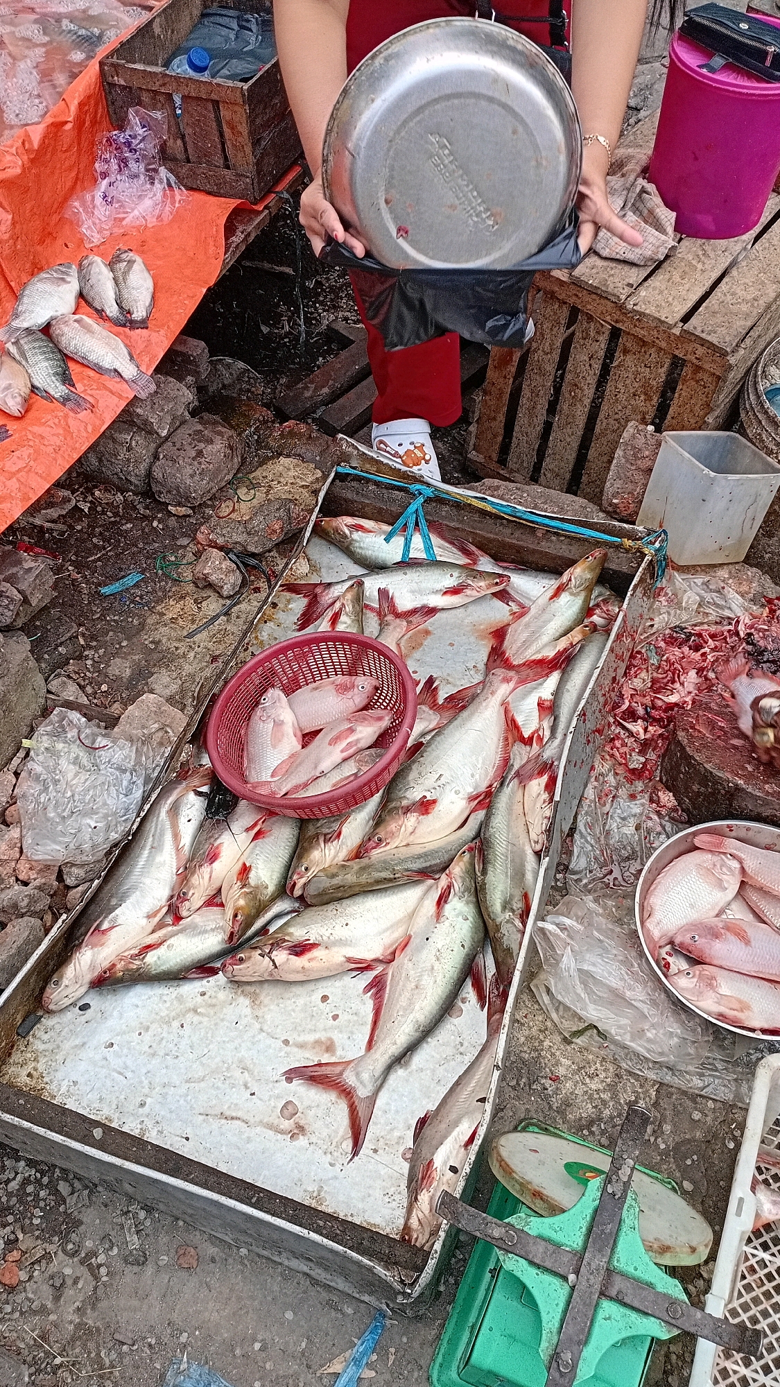 An overhead shot captures a fish market stall in Jambi, Indonesia. In the foreground, a large metal tray is filled with fresh, silver-scaled fish, many with red fins. A small red basket containing a few smaller fish sits atop the larger tray. To the right, a metal scale with green accents and a white plastic container holding more fish are visible. In the background, a woman in red pants and a dark top holds a silver pot. Several wooden crates and orange tarps are also present, along with debris scattered on the ground, suggesting a bustling, outdoor marketplace.