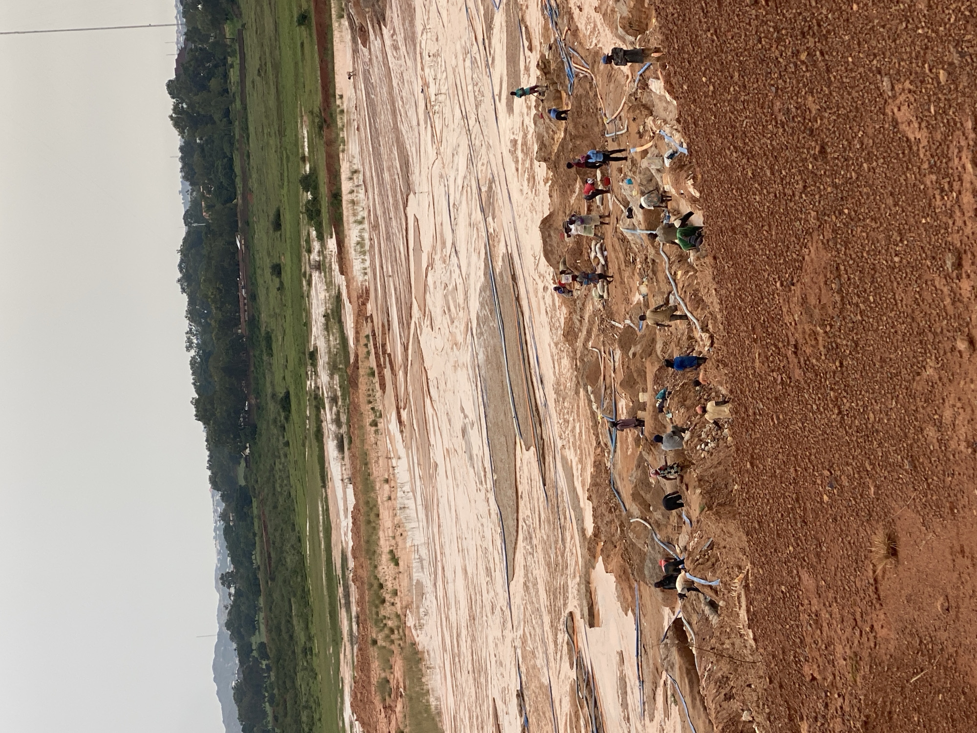 The image depicts a scene of artisanal mining in a muddy, excavated area, likely located in the city of Jos, Nigeria. Numerous individuals, appearing to be miners, are actively engaged in various tasks within the excavated pit. They are dressed in casual clothing, some with hats, and are scattered across the muddy terrain. Several people are seen digging, carrying bags, and interacting with each other. The environment is characterized by large expanses of reddish-brown mud and water, with remnants of excavated earth forming mounds and trenches. Blue pipes, likely used for water management, are visible throughout the area, snaking across the mud and around the workers. In the background, a lush green landscape with trees and some distant structures suggests the mining activity is taking place on the outskirts of a more settled area. The sky is overcast, contributing to a muted lighting condition. The overall impression is one of manual labor in a challenging and resource-extraction environment.