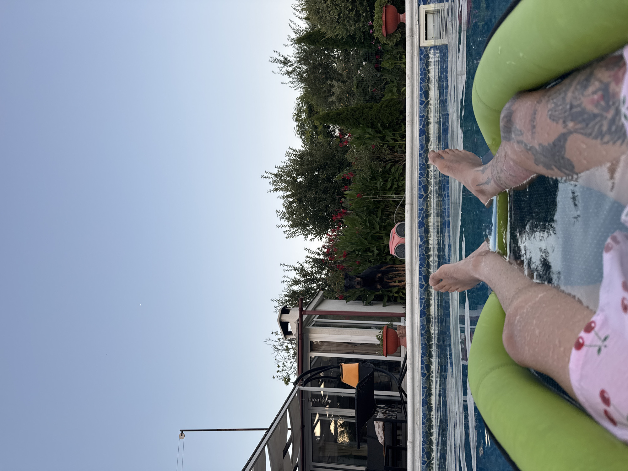 In Bulgarovo, Bulgaria, a first-person perspective shows a person relaxing in a swimming pool on a bright green inflatable raft. The person is wearing pink shorts with a cherry pattern and has tattoos on their right leg. The pool water is clear with ripples, and the tiled edge of the pool is visible. In the background, beyond the pool, is a garden area with lush green trees and vibrant red flowers. A black dog stands alert near the pool, looking towards the camera. Adjacent to the garden is a building with large windows and an outdoor seating area. The sky above is a clear, pale blue, indicating it's either early morning or late afternoon.