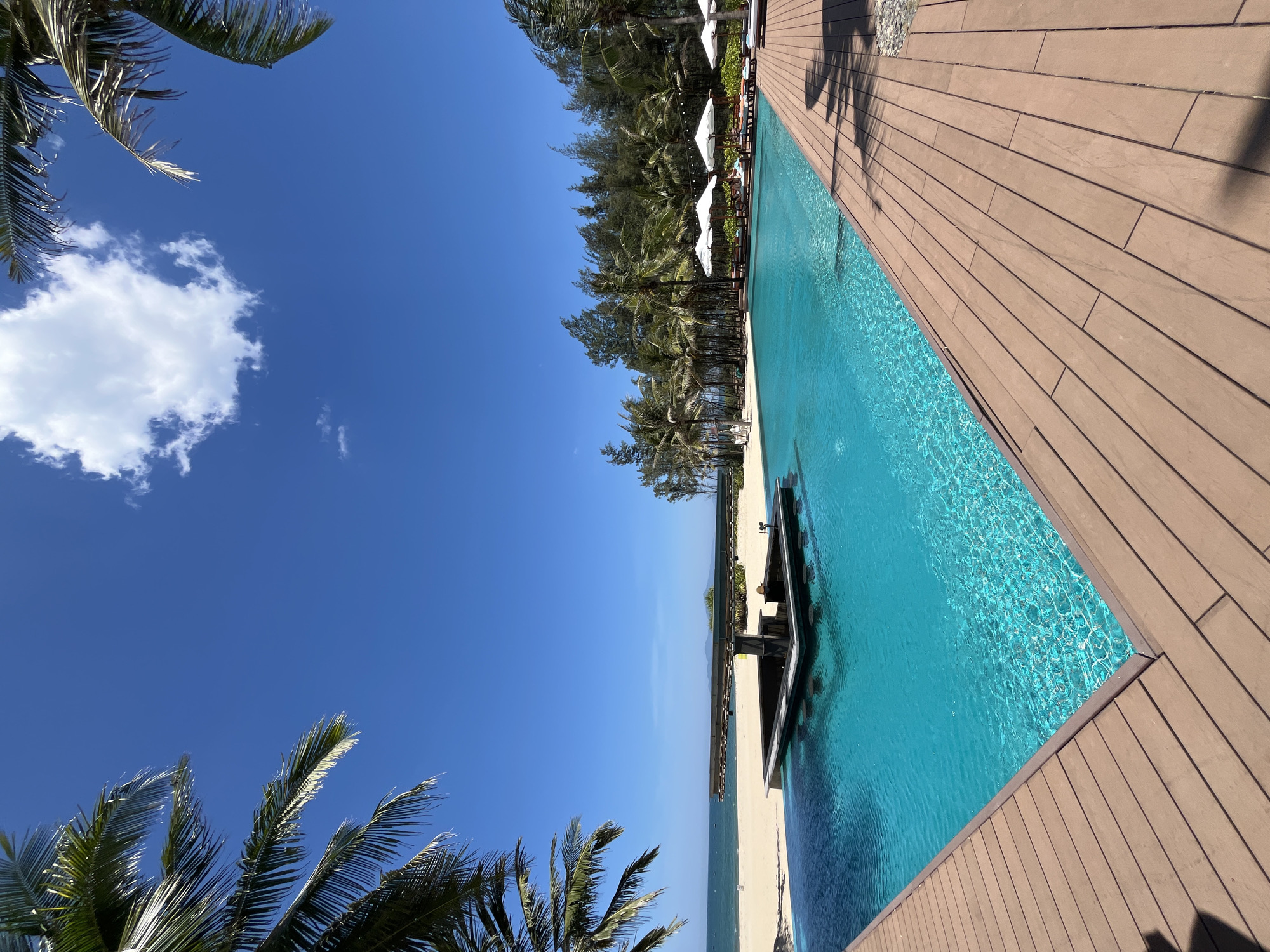 The image displays a vibrant, sunny tropical beach resort scene, likely in Đà Nẵng, Vietnam, viewed in a landscape orientation (after rotating the original image clockwise by 90 degrees).
The top of the frame is dominated by a clear, deep blue sky with a single prominent white cumulus cloud and a few lighter wisps. Lush green palm fronds partially frame the sky from the left and right sides.
Below the sky, an inviting infinity pool with sparkling turquoise water stretches across the mid-ground. The pool is bordered on the right by a wide, light brown wooden deck, which shows distinct shadows from overhead palm fronds, indicating bright sunshine. A structure resembling a swim-up bar or an in-pool lounge area is visible within the pool towards the center.
Beyond the pool and deck, a strip of light-colored sandy beach extends, meeting the calm, light blue ocean that fades into the horizon. A dense line of diverse green trees, including more palm trees, runs along the edge of the resort area, behind the pool and beach. Several white beach umbrellas and what appear to be lounge chairs are scattered beneath these trees, suggesting a relaxation area.
The scene depicts a serene and idyllic vacation setting, under clear skies with strong sunlight, indicating midday or early afternoon. There are no people visible, and no text is discernible. The overall impression is one of tranquility and tropical beauty.
