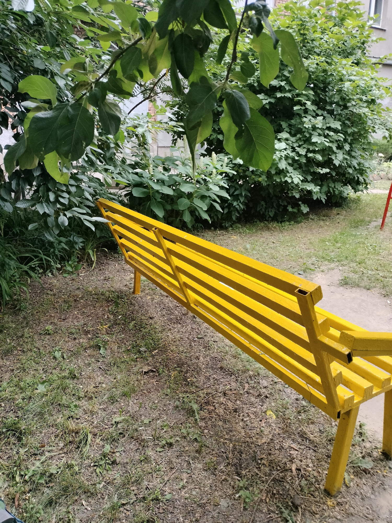 A bright yellow, slatted park bench sits in an outdoor setting, angled towards the right of the frame. The bench is positioned on a patch of dry, sparse grass and dirt, with a light-colored pathway visible to its right. Behind the bench, lush green foliage from trees and bushes creates a dense, verdant backdrop. Some of the leaves are large and broad, while others are smaller and more numerous, forming a thick canopy that obscures the background. In the distance, a portion of a building with light-colored brickwork is visible through the leaves. The overall impression is of a simple, perhaps somewhat neglected, public space. The lighting suggests it is daytime, with diffused light that doesn't cast harsh shadows, possibly indicating an overcast or partly cloudy sky. There are no people or animals visible in the image, and no text is present. The scene appears to be a common urban or suburban park or courtyard area.