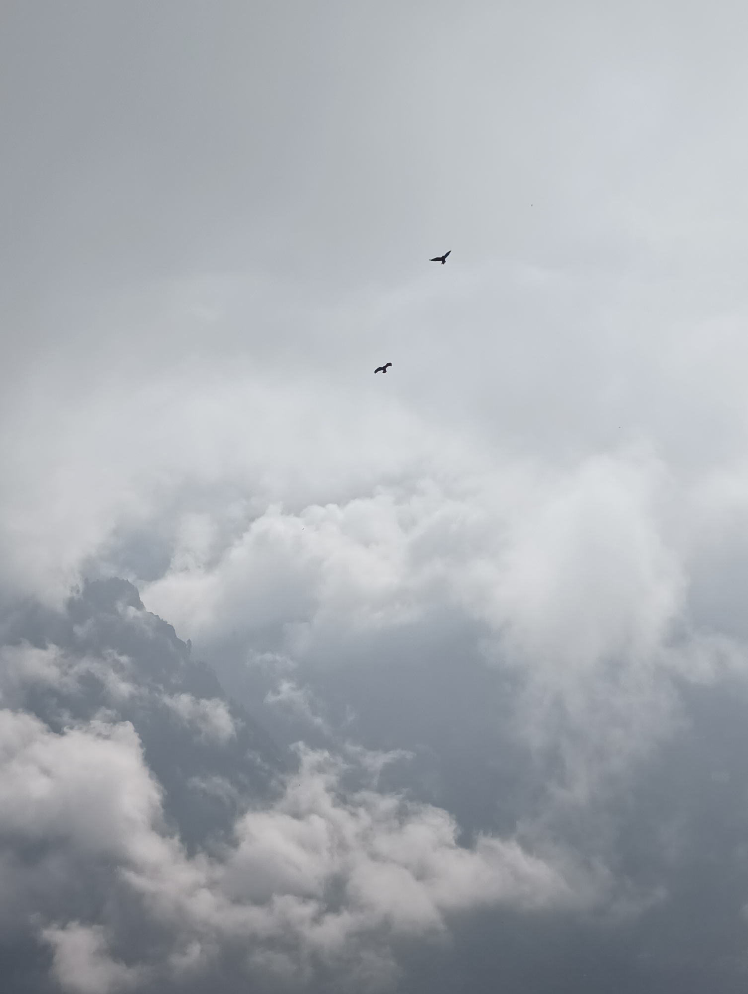 A landscape photograph captures two birds in flight against a backdrop of overcast skies and distant mountains. The birds are silhouetted against the bright, diffused light of the sky, appearing as dark specks with outstretched wings. The clouds are thick and layered, obscuring much of the sky and casting a muted light on the scene. In the lower portion of the image, the rugged peaks of mountains are visible, partly veiled by the clouds. The overall tone of the photograph is somber and dramatic, with a focus on the interplay of light and shadow, and the vastness of the sky. The image was taken in Siumsa, India.
