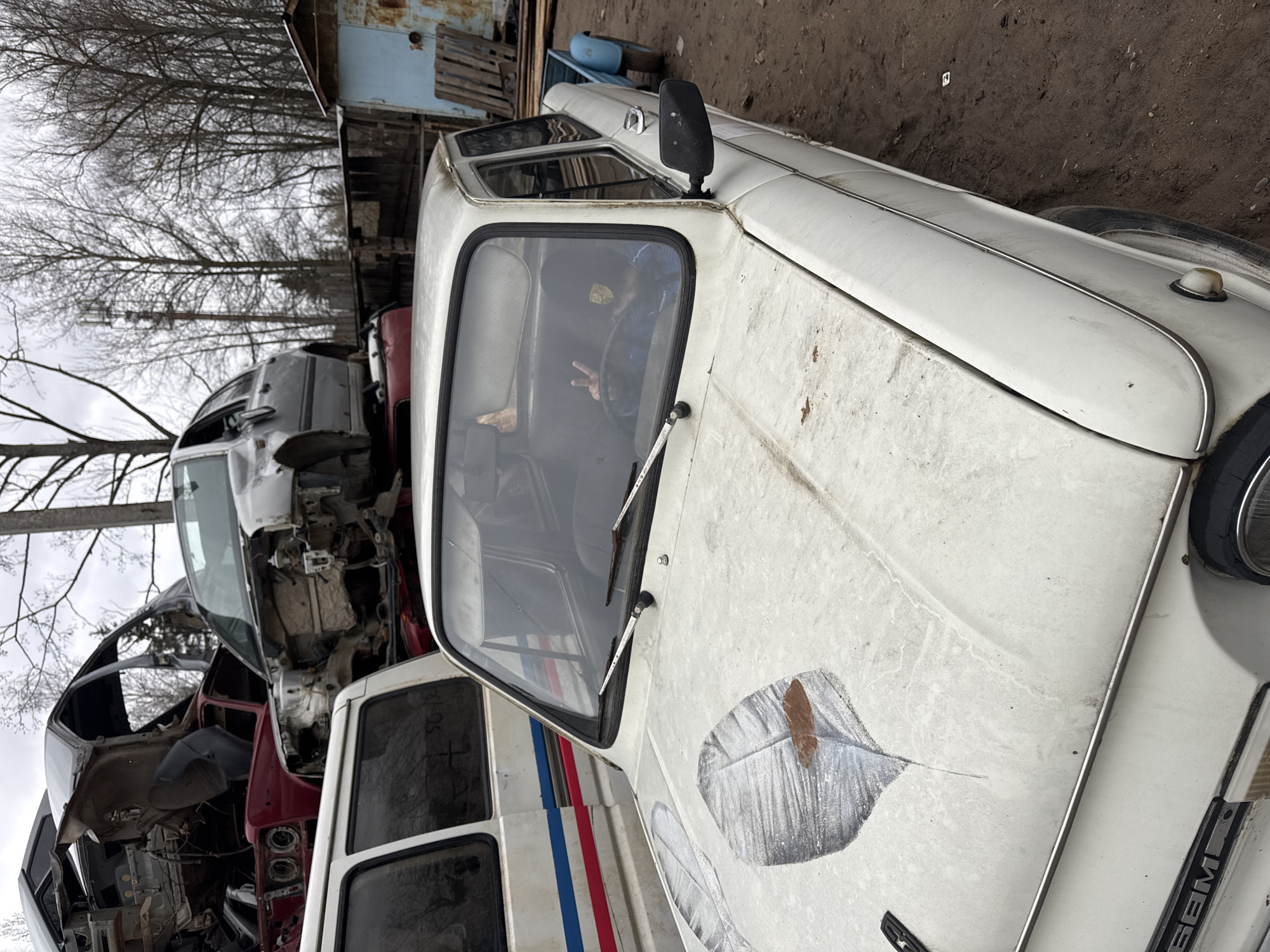 This outdoor image captures a vehicle salvage yard in Chaikovsky, Russia, under an overcast sky. The primary subject is a weathered white, possibly older model, car or small van positioned prominently in the foreground, facing right. Its hood features a distinct, hand-painted design resembling a large leaf in shades of grey and brown.
Inside the cabin of this white vehicle, a person is visible, their face obscured by reflection and shadow, but their right hand is clearly making a "peace sign" or "victory sign" gesture towards the viewer through the windshield. The vehicle appears stationary, possibly awaiting dismantling or restoration. It has standard side mirrors and windshield wipers. On the front of the car, below the windshield, partially visible text reads "ББМ". The side of the car also shows a red and blue stripe.
Behind the white car, numerous other vehicles are stacked haphazardly, indicating a junkyard environment. These cars are in various states of disrepair, with some appearing severely damaged, stripped, or rusted. Bare trees, suggestive of winter or early spring, frame the upper left background, while a dilapidated structure and some scattered debris like wooden pallets and a blue barrel are visible further in the background. The ground is dark, appearing to be dirt or mud. The overall scene conveys a sense of abandonment and utility, typical of a car dismantling facility.