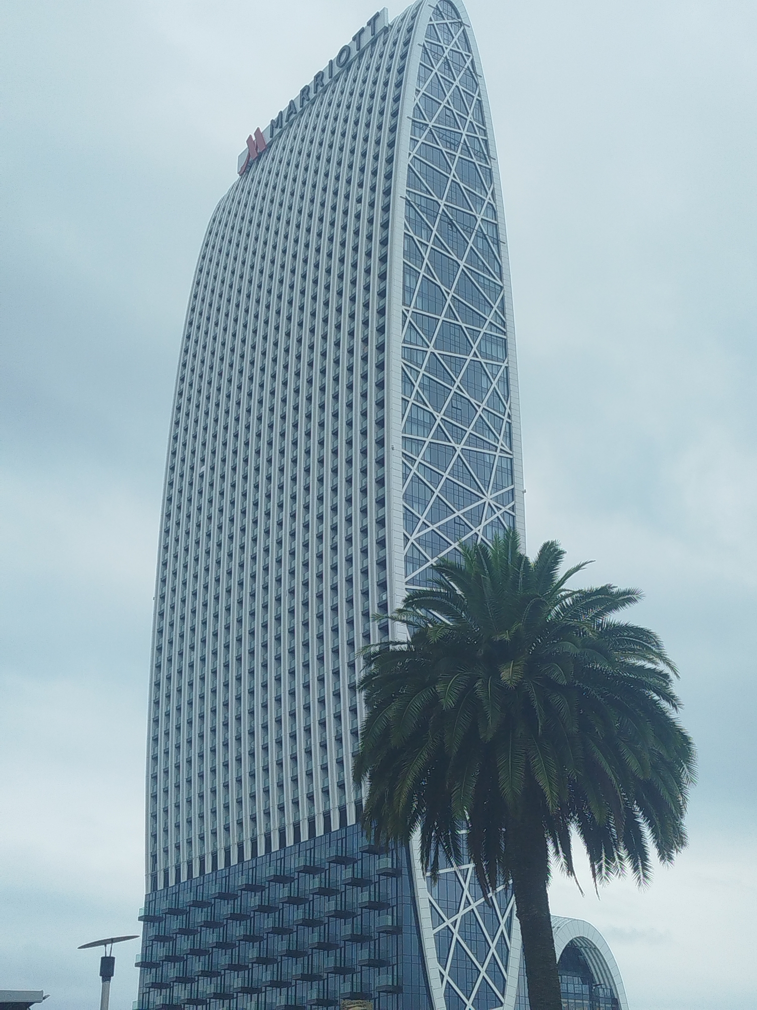 An exterior, low-angle, full shot captures a modern, tall, curved skyscraper with the Marriott logo visible at its apex. The building is predominantly white with vertical window frames and a section of dark blue glass at its base, featuring square balconies. A large palm tree with lush green fronds stands in the foreground, partially obscuring the lower portion of the skyscraper and a curved architectural element at the far right. The sky is overcast and pale. The location is Batumi, Georgia, identified by the distinctive architecture of the Arbutus Tower, a landmark in the city.
