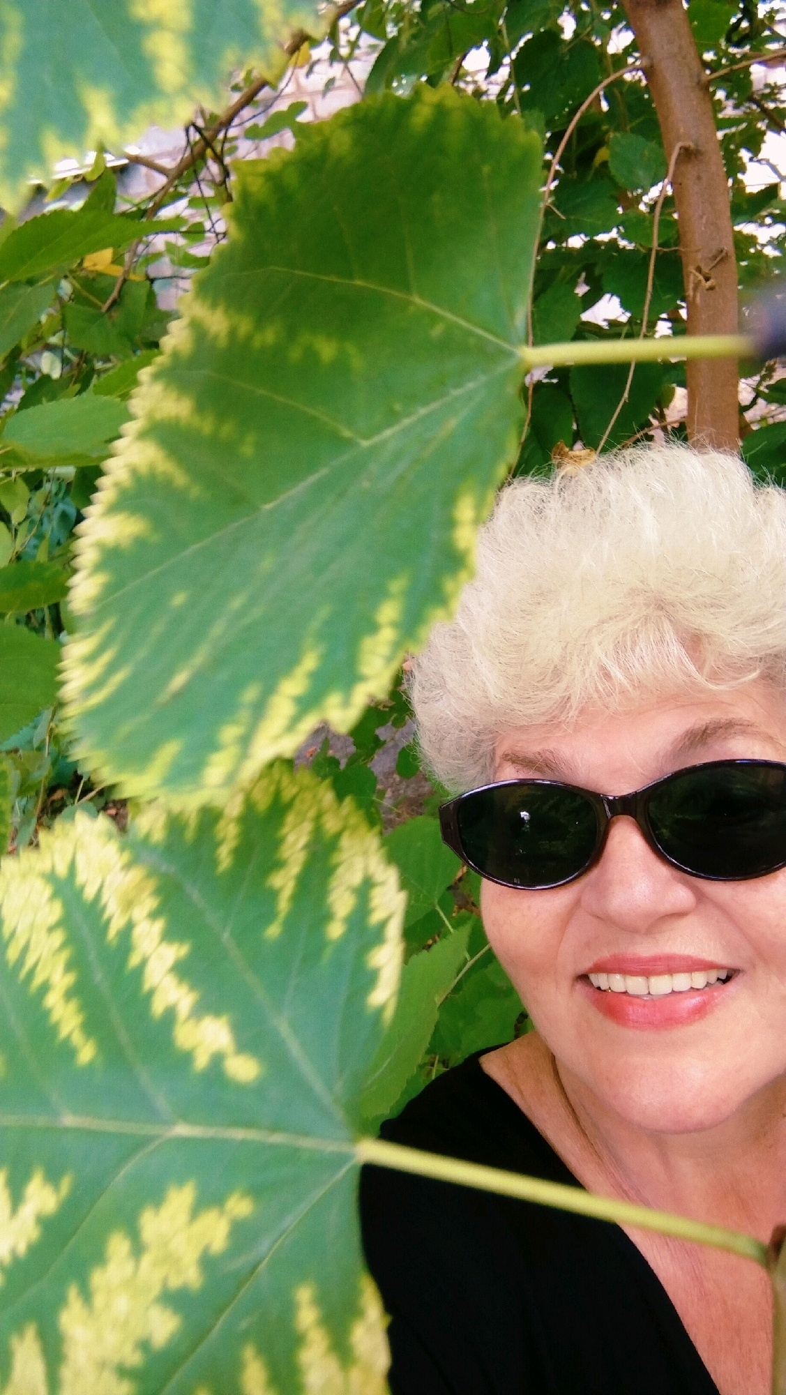 In this close-up, vertical, outdoor shot, a woman with a fair complexion and short, wavy, blonde hair smiles while wearing dark sunglasses and a black top. Large, variegated green and yellow leaves partially obscure her face and body. The leaves appear to be from a plant with prominent veins and serrated edges. The background shows more foliage and a tree trunk. The lighting suggests a sunny day. This image was captured in Horishni Plavni, Ukraine.
