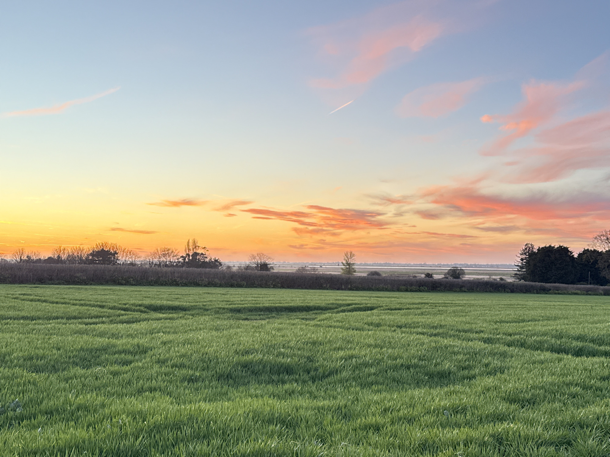 The image depicts a green field in Gorleston-on-Sea, United Kingdom. The field is covered in dense, green grass. A line of trees and bushes separates the field from a distant body of water. Above the trees and water, the sky transitions from orange near the horizon to light blue higher up. Pink clouds are scattered across the sky, and a contrail is visible. No people are present.