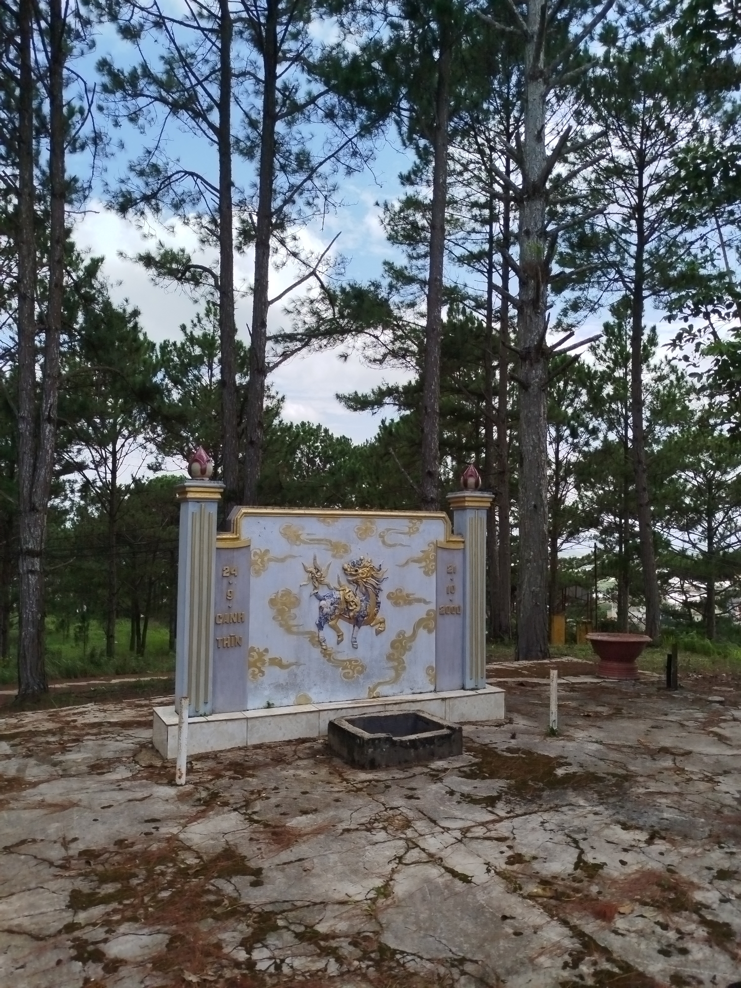 In Tuý Sơn, Vietnam, an ornate memorial stands prominently in a wooded area. The memorial is a pale blue, rectangular structure with gold detailing, featuring an embossed image of a dragon-like creature with a horse's body and elaborate mane. Flanking the central artwork are decorative columns, topped with red and gold finials. Text in gold lettering is visible on the columns. In front of the memorial, a dark, square stone basin sits on the ground. The ground itself is a cracked, gray concrete surface, littered with fallen pine needles and scattered moss. The memorial is surrounded by tall, slender pine trees with dense green foliage reaching towards a bright, partly cloudy sky. In the background, beyond the trees, a glimpse of a village or town can be seen. A large, terra cotta planter sits to the right of the memorial, and a short, white pole stands near the concrete basin.