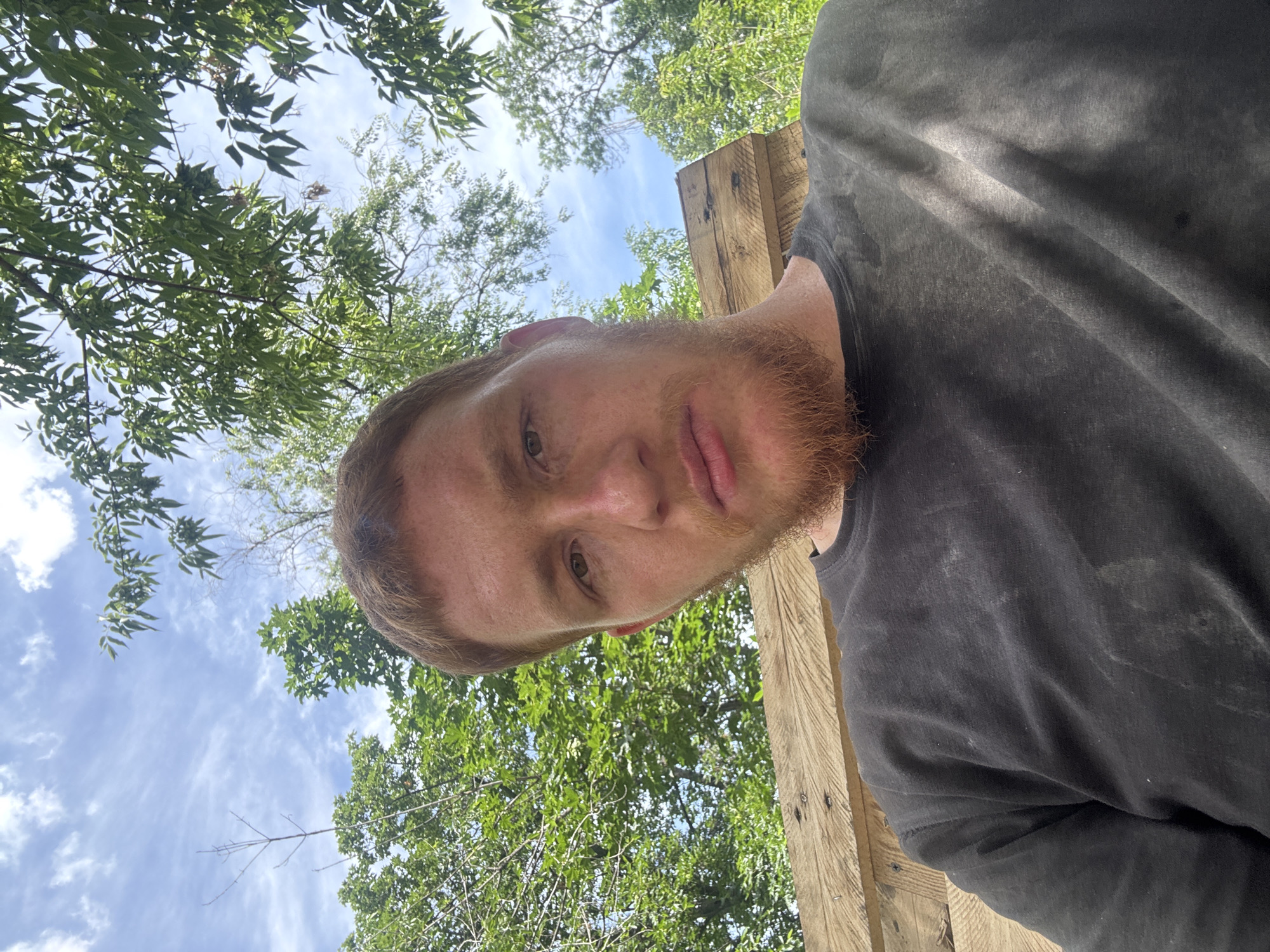 The media file is a selfie taken outdoors with a low-angle perspective, looking up towards the sky. The primary subject is a young Caucasian man with short, reddish-brown hair and a beard of the same color. He is wearing a dark, possibly black, t-shirt that appears to be slightly soiled, with some lighter smudges visible. His face is turned towards the camera, and he has a neutral expression.
The setting is outdoors, characterized by lush green foliage from trees overhead and a bright blue sky with scattered white clouds. Sunlight is filtering through the leaves, creating dappled light and shadows. To the right of the man's face, a portion of a wooden structure, possibly a post or beam, is visible. The wood appears rough-hewn and weathered.
The overall impression is that of a casual, perhaps candid, moment captured outdoors, likely during the daytime due to the bright sky and sunlight. The lighting suggests it is a sunny day. There are no visible signs or text within the frame. The scene evokes a sense of being in a natural environment, possibly during a break from outdoor activity.
