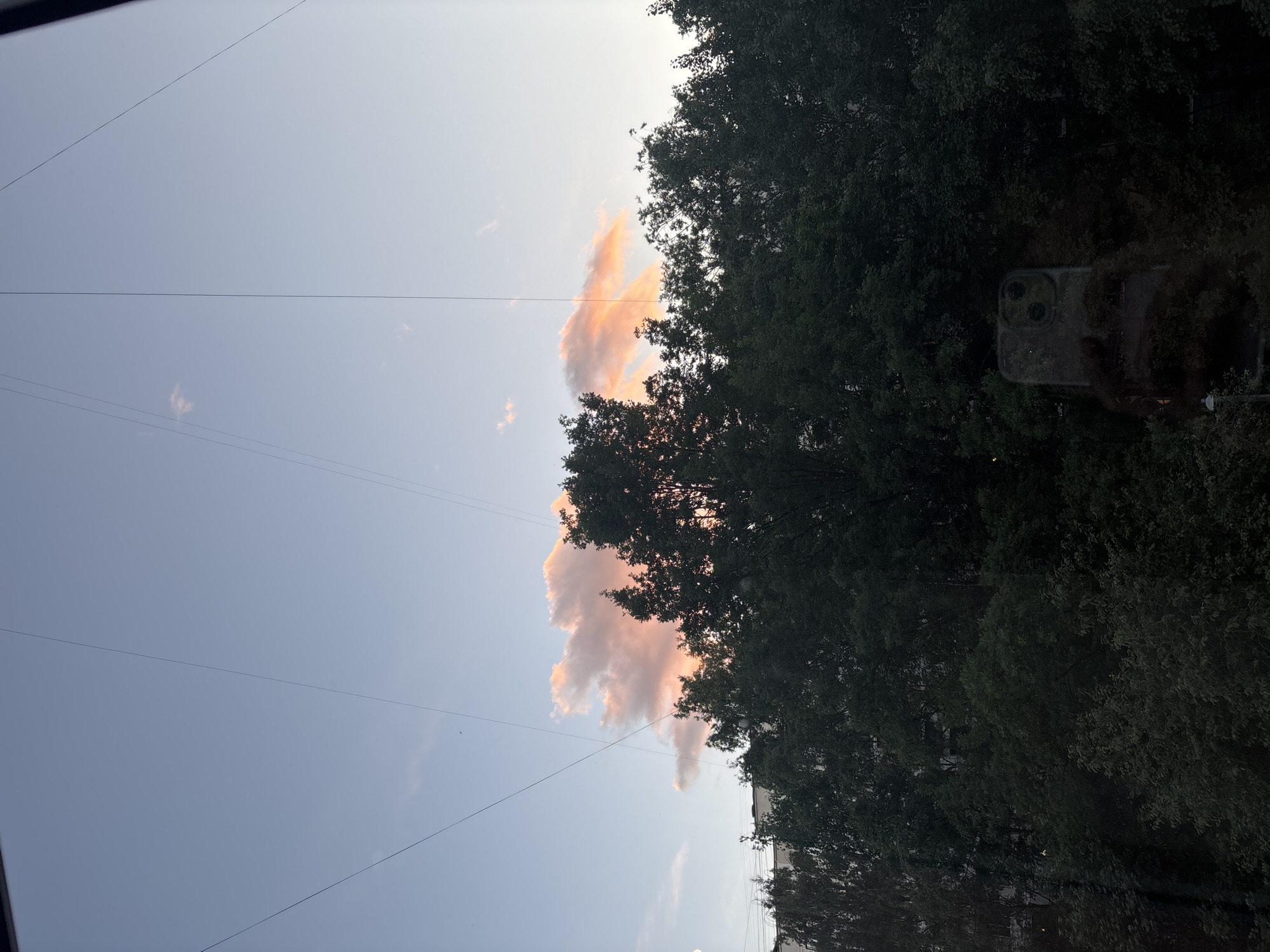 The image shows a view of the sky with clouds, trees, and telephone wires. The sky is a light blue, and there is a large, fluffy cloud illuminated with pink and orange hues, suggesting it is sunset or sunrise. Dense green trees fill the right side of the frame, obscuring a building and a clear view of the ground. A close-up detail reveals a clear phone case with a camera bump, partially covered by leaves, suggesting a person is holding a phone to capture the scene. The overall mood is serene, with the warm colors of the sunset over the natural landscape. The image appears to be taken in Sinyavino, Russia. There is no visible text in the image.