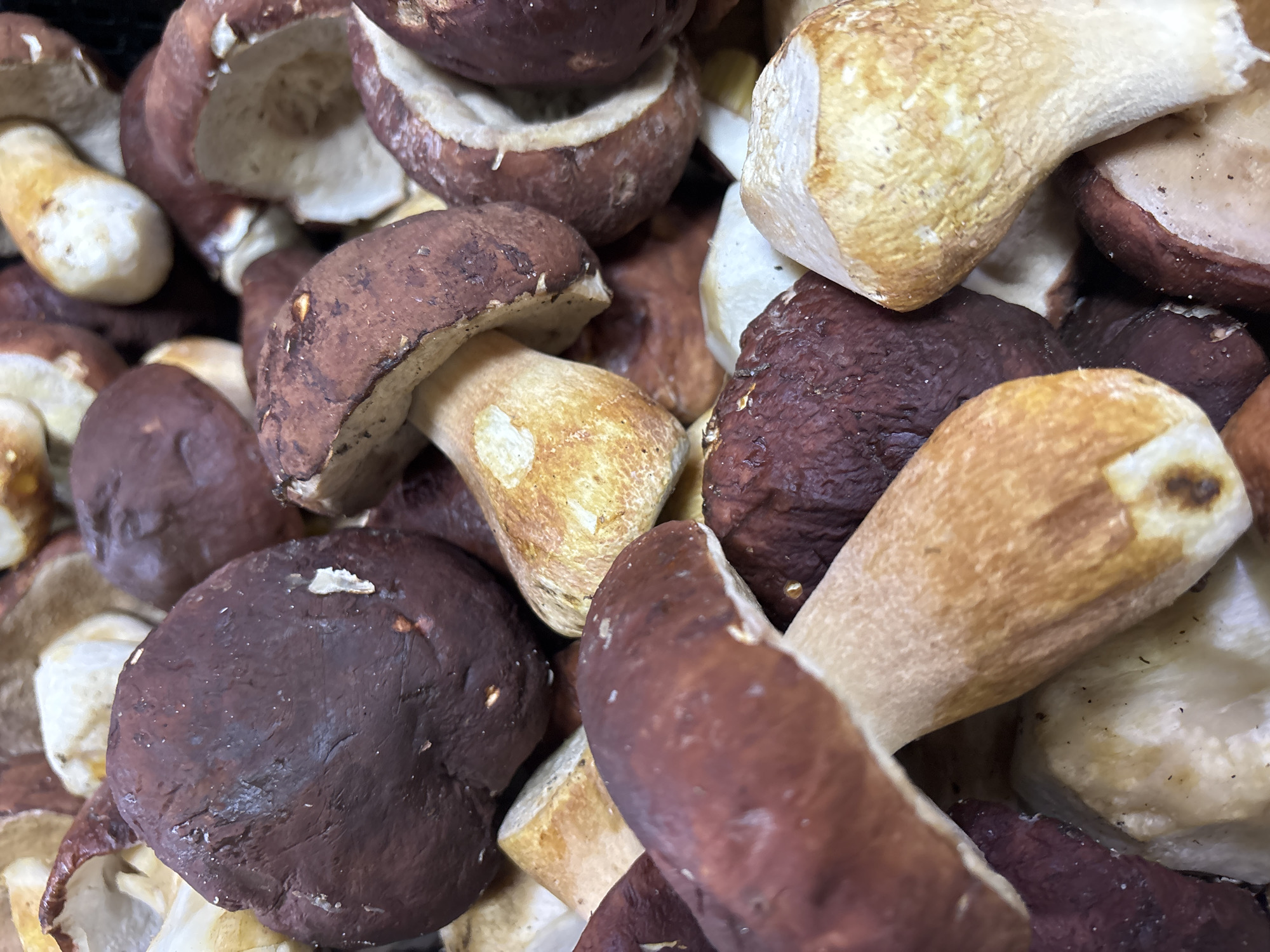 The image shows a close-up view of a pile of porcini mushrooms. The mushrooms have dark brown caps and thick, white stems. Some mushrooms are whole, while others appear to be cut in half, revealing their pale interiors. The texture of the caps is slightly velvety, and some have visible specks of dirt. The lighting is natural, highlighting the earthy tones of the mushrooms. The background is out of focus, but appears to be more mushrooms, suggesting they are in a container or being sold in bulk. The image does not depict any specific location in Zvenigorod, Russia.