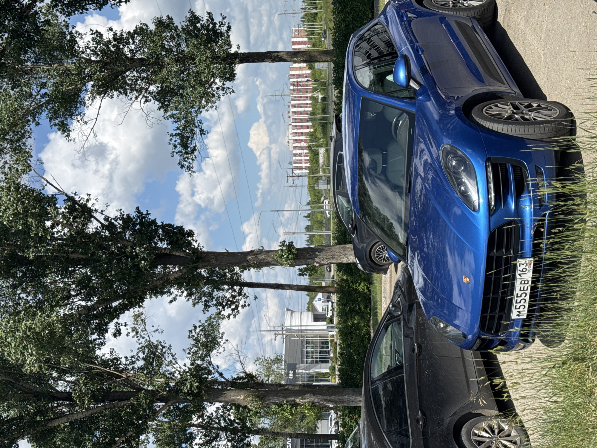 A blue Porsche Macan is parked on a paved lot, partially obscured by tall grass in the foreground. The car's license plate reads "M555EB 163 RUS". To the left of the Porsche, a black car is visible, its front portion cut off by the frame. Behind the cars, a row of tall trees with green leaves creates a natural barrier. In the middle ground, a modern building with large windows and a white facade is visible, possibly a car dealership, with other cars parked in front. Further in the background, a large residential building with red and white patterned facades stands under a partly cloudy blue sky. Electrical poles and wires are also present in the distance. The scene appears to be an outdoor parking area in an urban or suburban setting on a sunny day.