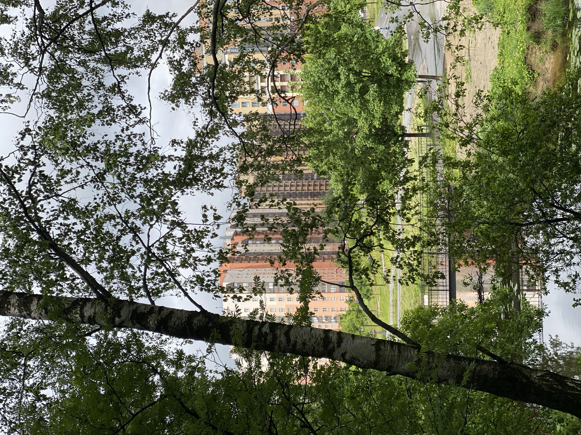 The image depicts an urban scene in Unknown, Unknown, seen through a foreground of tree foliage. A birch tree trunk is prominently displayed, with its characteristic white and black bark pattern. Behind the trees, a multistory building is visible, exhibiting a mix of red, orange, and beige tones on its facade. A park or green area is situated in the middle ground. A walkway, possibly asphalt, is visible in the background. The sky is overcast, suggesting a cloudy day. The photograph appears to be taken from a low-angle perspective, possibly from within the park or a similar green space.