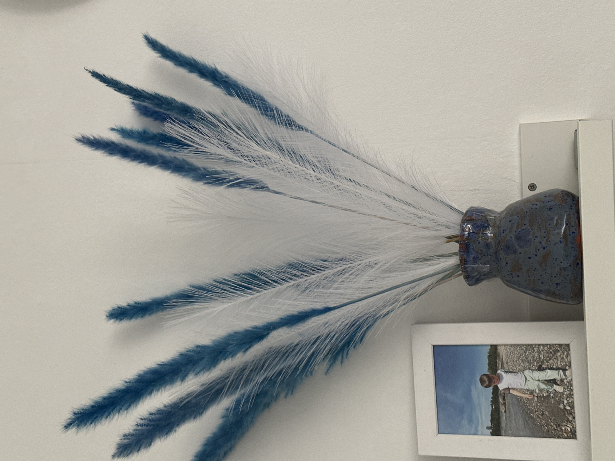 A framed photograph of a young boy standing on a pebble beach with a body of water and a treeline in the background sits on a white shelf next to a dark blue speckled vase filled with dried pampas grass. The pampas grass is a mix of white and vibrant blue plumes. The wall behind the objects is plain and white, with a shadow cast by the pampas grass. The scene appears to be indoors, likely a home decoration display. No specific location in Bad Endorf, Germany is indicated by the visual information.