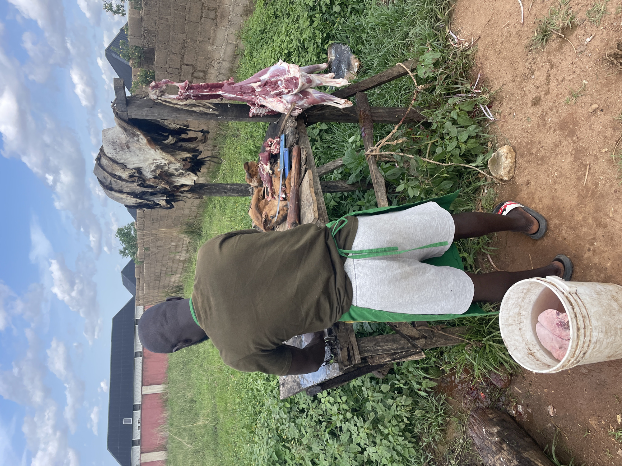 In a rural setting in Durimi, Nigeria, an individual stands at a makeshift wooden table outdoors. The individual wears a dark green shirt, light gray shorts with a green waistband, and sandals. They appear to be processing animal carcasses. A flayed animal hide hangs from a wooden structure to the left. A carcass and other pieces of meat are on the table. Butchering tools are on the table, along with portions of the butchered animal. A white bucket containing meat sits on the ground near the individual. The area is grassy and has a building in the background.