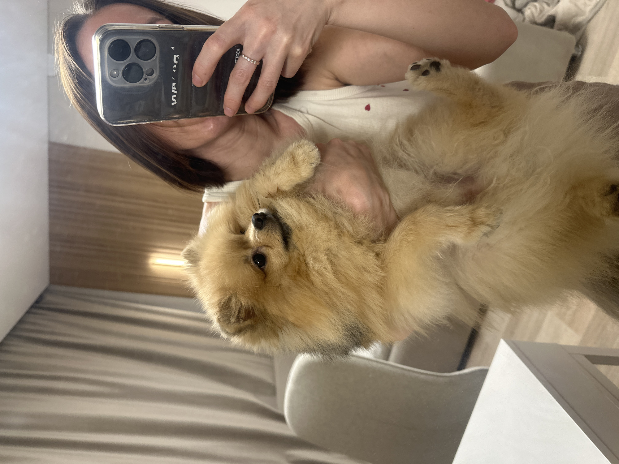 In a medium shot, a woman with brown hair is holding a light brown Pomeranian dog. She is taking a selfie with her phone, which is held in her right hand. The dog is positioned in the center of the frame, facing left and looking slightly away from the camera. The woman is wearing a white tank top with a small red heart detail. Her left arm supports the dog. The background shows beige curtains on the left and a wooden-paneled wall on the right, suggesting an indoor setting. The scene is lit by ambient light, with a soft glow illuminating the dog's fur. There is a glimpse of a light-colored table in the lower left corner and a chair in the background. The image does not contain any specific landmarks or elements that would indicate its location in Votkinsk, Russia.