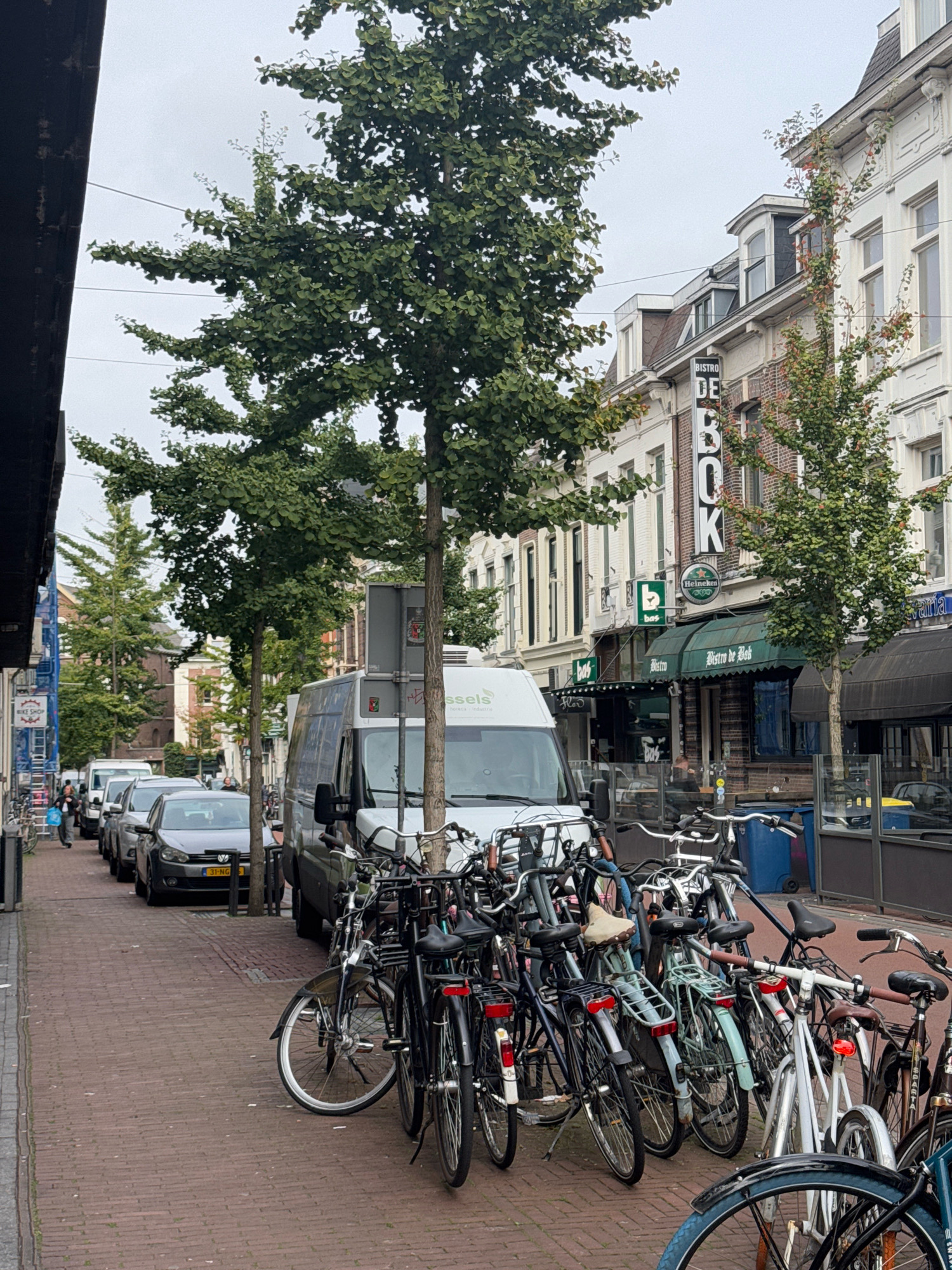The image depicts a street scene in Nijmegen, Netherlands, likely in the city center given the presence of a van, parked cars, numerous bicycles, and buildings with commercial establishments. The street is paved with red brick. On the left side of the street, a dark building occupies the foreground, with scaffolding visible. Further down the street, cars are parked along the curb, including a dark grey Volkswagen Golf with license plate 31-NG. A white van is also present. On the right side of the street, there are several buildings with awnings, suggesting shops or restaurants. One prominent sign reads "BISTRO DE BOB". A large tree stands in the middle of the scene, with a cluster of bicycles parked in front of it and other trees lining the street. The sky is overcast, indicating a cloudy day. There are no individuals clearly visible engaging in any specific actions, though several people appear to be walking in the background near the parked cars. The overall impression is of a typical urban street scene in a European city.