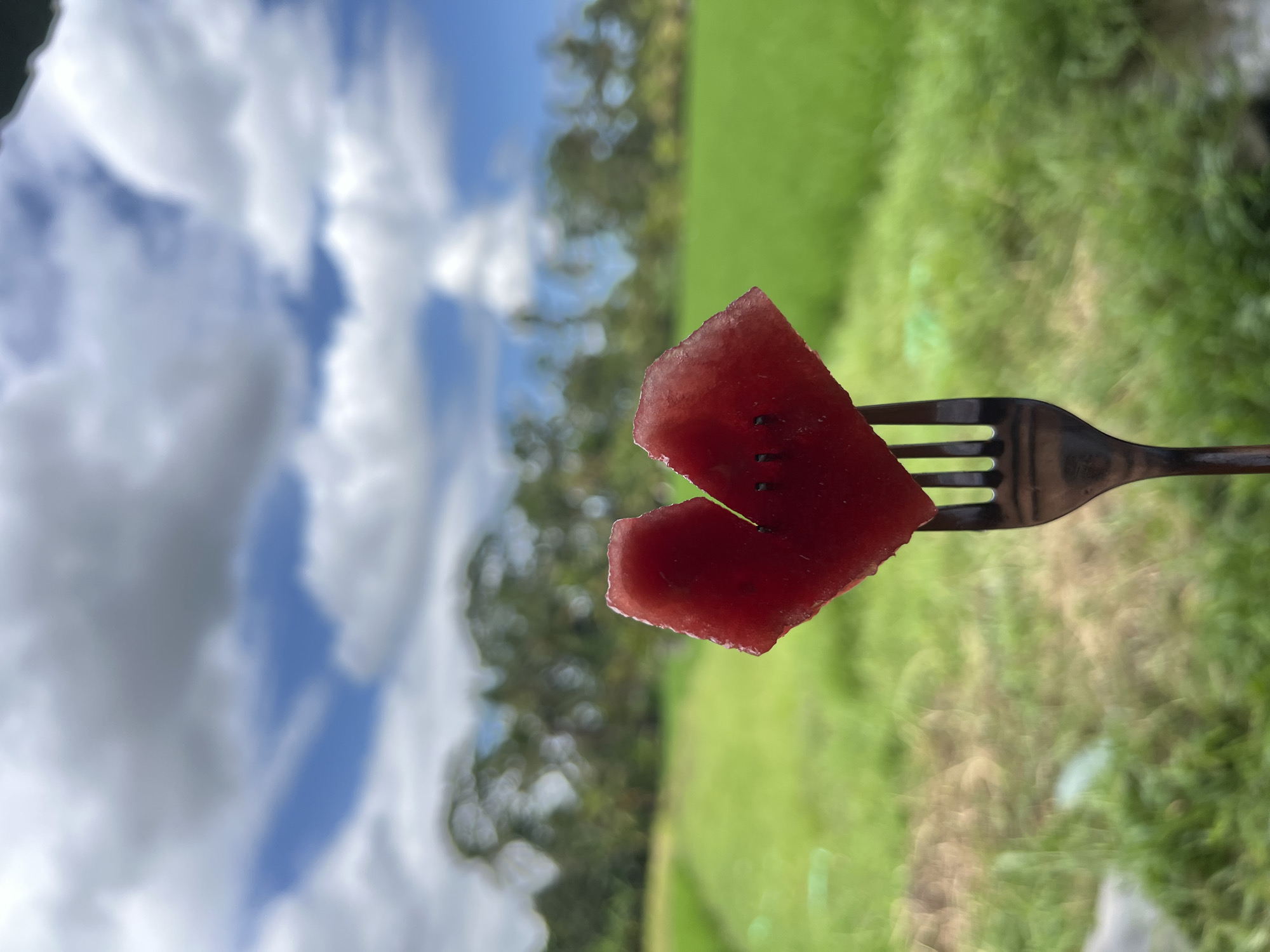 A slice of watermelon is speared on a metal fork, held in front of a blurred natural background. The watermelon slice is bright red, with a rectangular shape that has a bite taken out of one side, creating a heart-like shape. The metal fork is dark in color and has four tines. The background consists of green grass and trees, with a sky containing white clouds and patches of blue visible above the treeline. The picture was taken in the Ubud District of Indonesia.