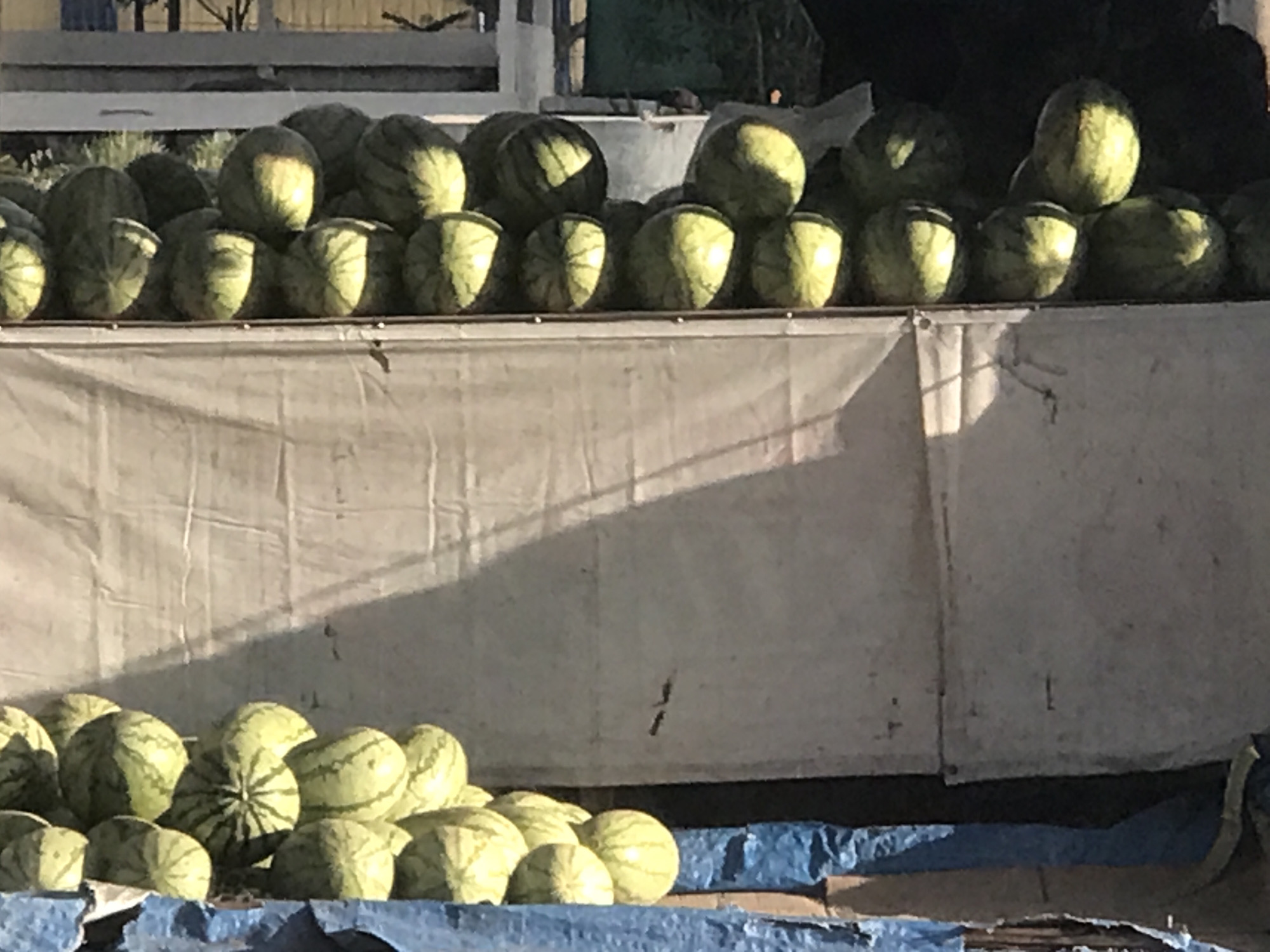 The image shows a display of watermelons for sale. There are two distinct groups of watermelons: one on an elevated surface covered with a white cloth and another cluster below, resting on a blue tarp. The top row features a densely packed arrangement of watermelons, while the bottom group is more loosely arranged. The environment suggests an outdoor setting, likely a market or roadside stand. The watermelons have a light green rind with darker green stripes. The cloth underneath the watermelons is light in color with some vertical seams. Behind the top row of watermelons are objects and buildings of unknown characteristics. There is no direct indication of the location being Lhokseumawe, Indonesia, in the image.