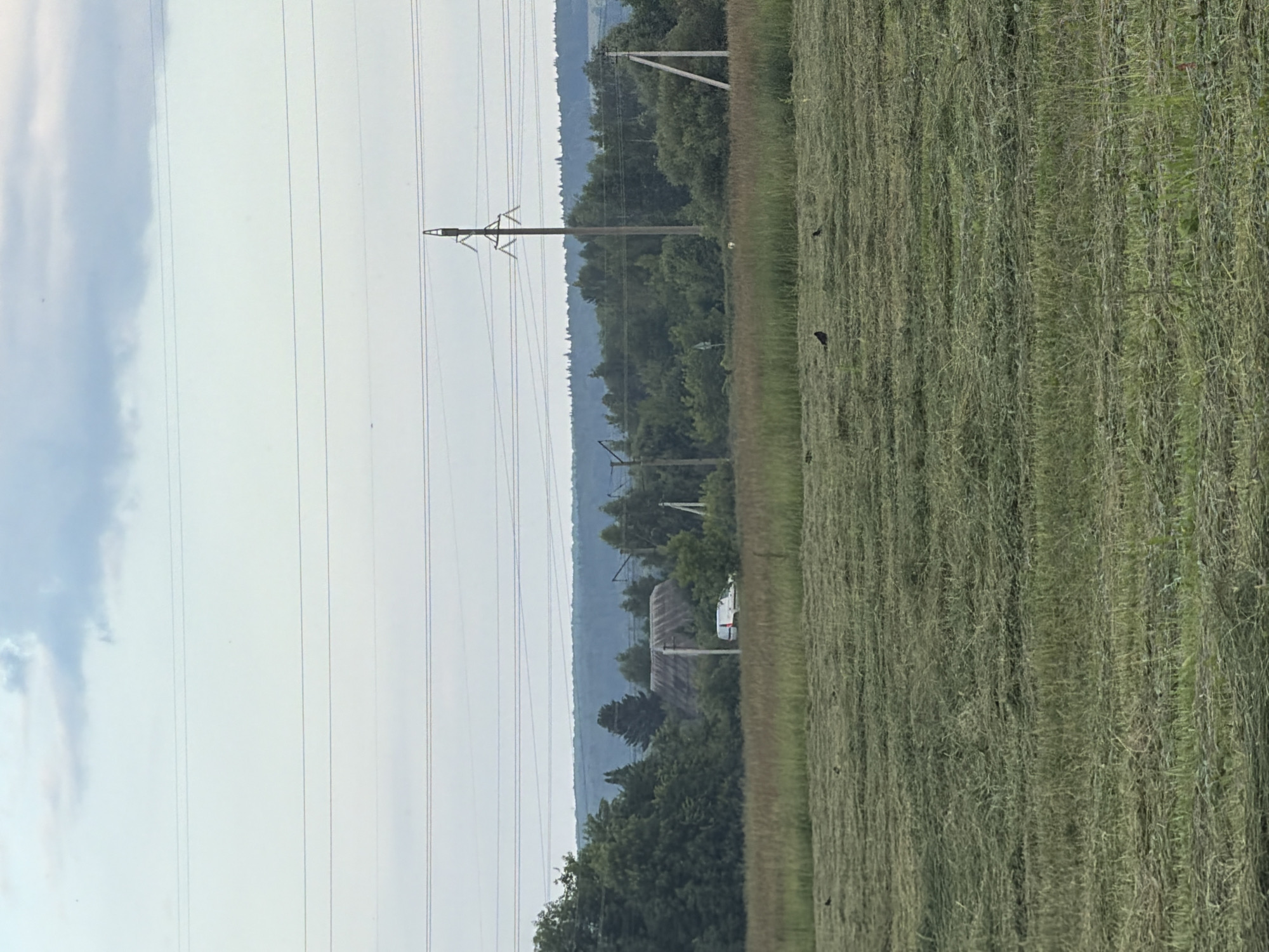The image depicts a rural landscape scene in Bol'shaya Ven'ya, Russia. The foreground is dominated by a field of mown grass, likely hay, arranged in neat rows. Several dark birds are scattered across the field, suggesting they are feeding or resting in the cut vegetation.
In the mid-ground, a line of trees forms a dense forest, with a few buildings and a white vehicle visible amongst them. The presence of a vehicle and structures indicates a small settlement or farm. Overhead, power lines stretch across the frame, supported by tall utility poles. These lines are a prominent feature, cutting across the sky and landscape, hinting at the presence of electricity infrastructure in the area.
The background features rolling hills covered in lush greenery, fading into a hazy blue due to atmospheric perspective. The sky above is a pale, overcast grey, with a few wispy clouds, suggesting a diffused light and possibly a mild or cloudy day. The overall impression is one of a pastoral, agricultural setting, typical of rural Russia. There is no visible text in the image. The time of day appears to be daytime, given the illumination.
