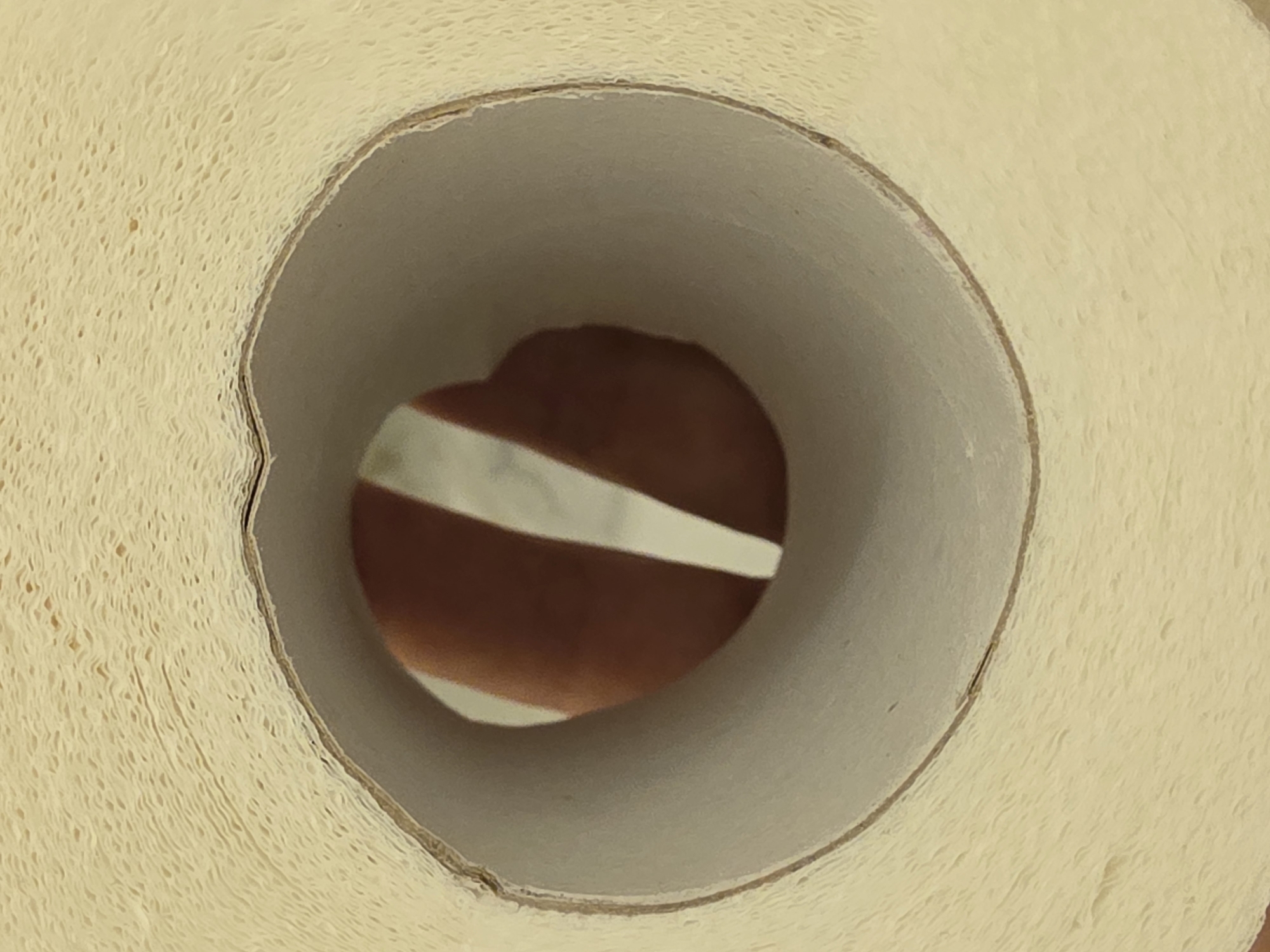 A close-up, low-angle, eye-level shot shows the inside of a cardboard tube in a roll of toilet paper. The paper is off-white and textured with a visible pattern of small ridges and indentations. The cardboard tube is a light gray color and appears smooth. The background visible through the tube is out of focus and shows a person's hand and arm, with soft lighting. The setting is indoors, possibly a bathroom or a room with diffused lighting. There are no specific landmarks or identifying features to determine the location within a city.