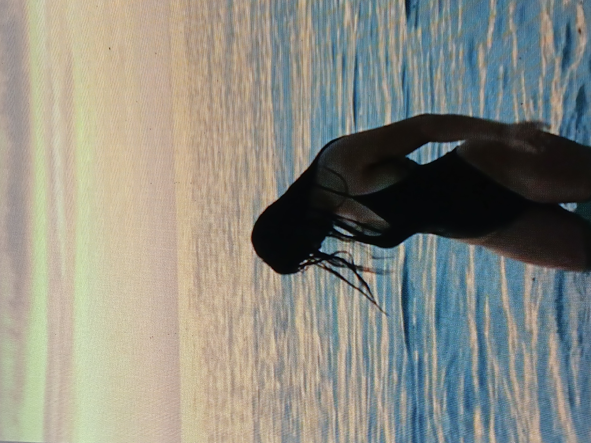 A woman in a black swimsuit is emerging from the sea. The scene suggests a beach environment, potentially in Juan Griego, Venezuela, characterized by a light sandy area transitioning to a blue sea with distinct light reflections on the water's surface. The woman's wet hair indicates recent immersion in the sea.