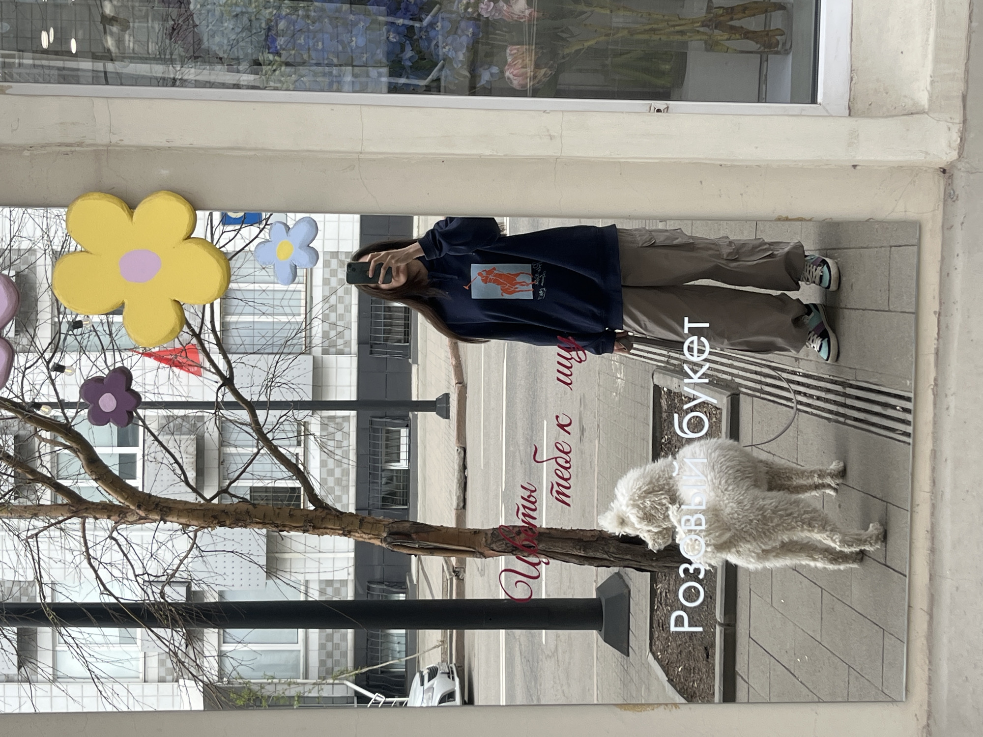 The image depicts a reflection in a shop window, showing a woman taking a photo with her phone. She is wearing a navy blue Polo Ralph Lauren hooded sweatshirt and light brown pants. A small, fluffy white dog stands near the bottom right of the window. The reflection captures a street scene in the background, including buildings and a tree decorated with colorful flower ornaments. Text in Russian, "Цветы тебе к лицу Розовый букет" is visible on the window, translating to "Flowers suit you Pink bouquet." The location is identified as Krasnoyarsk, Russia.
