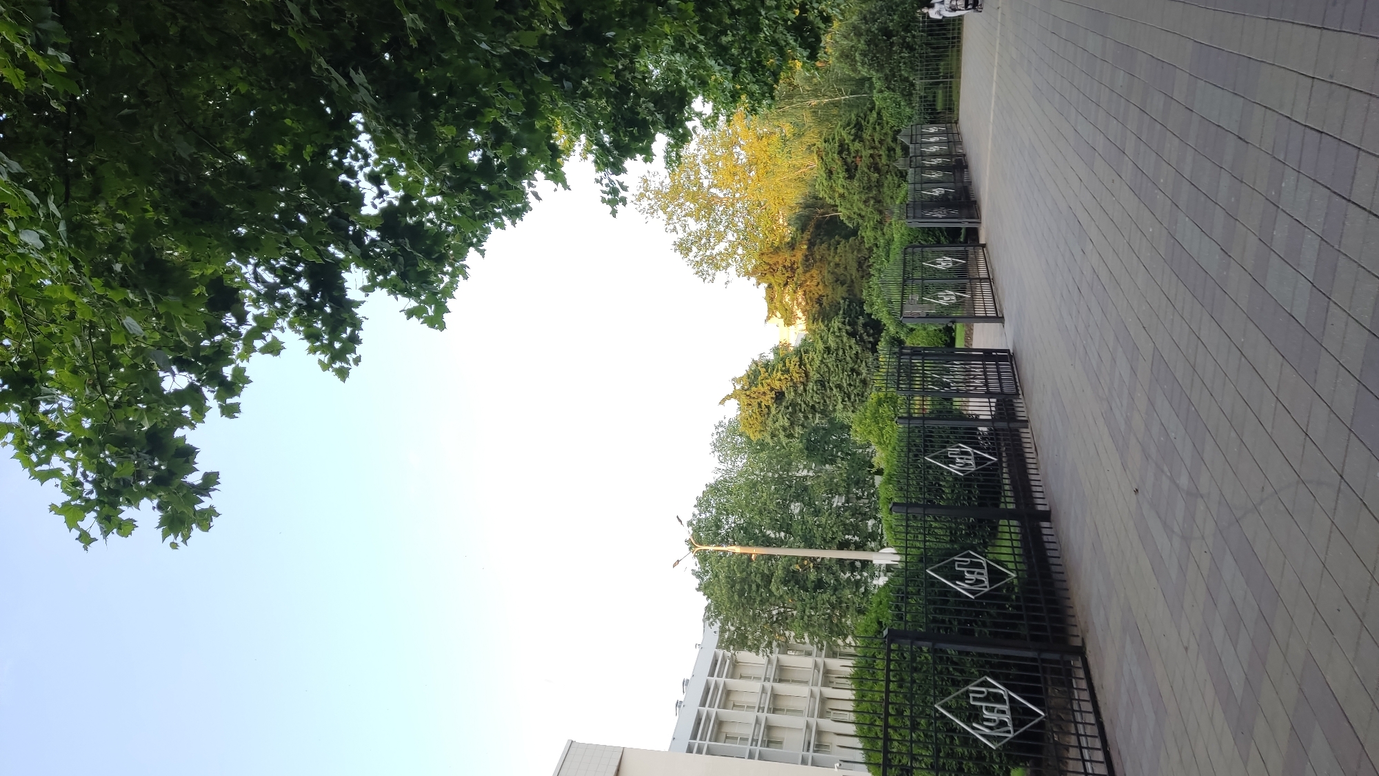 The image shows an outdoor scene with a paved walkway in the foreground and a black metal fence with diamond-shaped emblems. Beyond the fence, there is a row of manicured hedges and various trees. In the background, a modern building with white walls and numerous windows is visible on the left. A lamppost stands near the building. On the far right, a person is pushing a stroller. The sky is clear and light blue, with the branches of a large tree with green leaves filling the top right corner of the image. The scene appears to be a public space, possibly a park or the grounds of an institution, in Krasnodar, Russia.