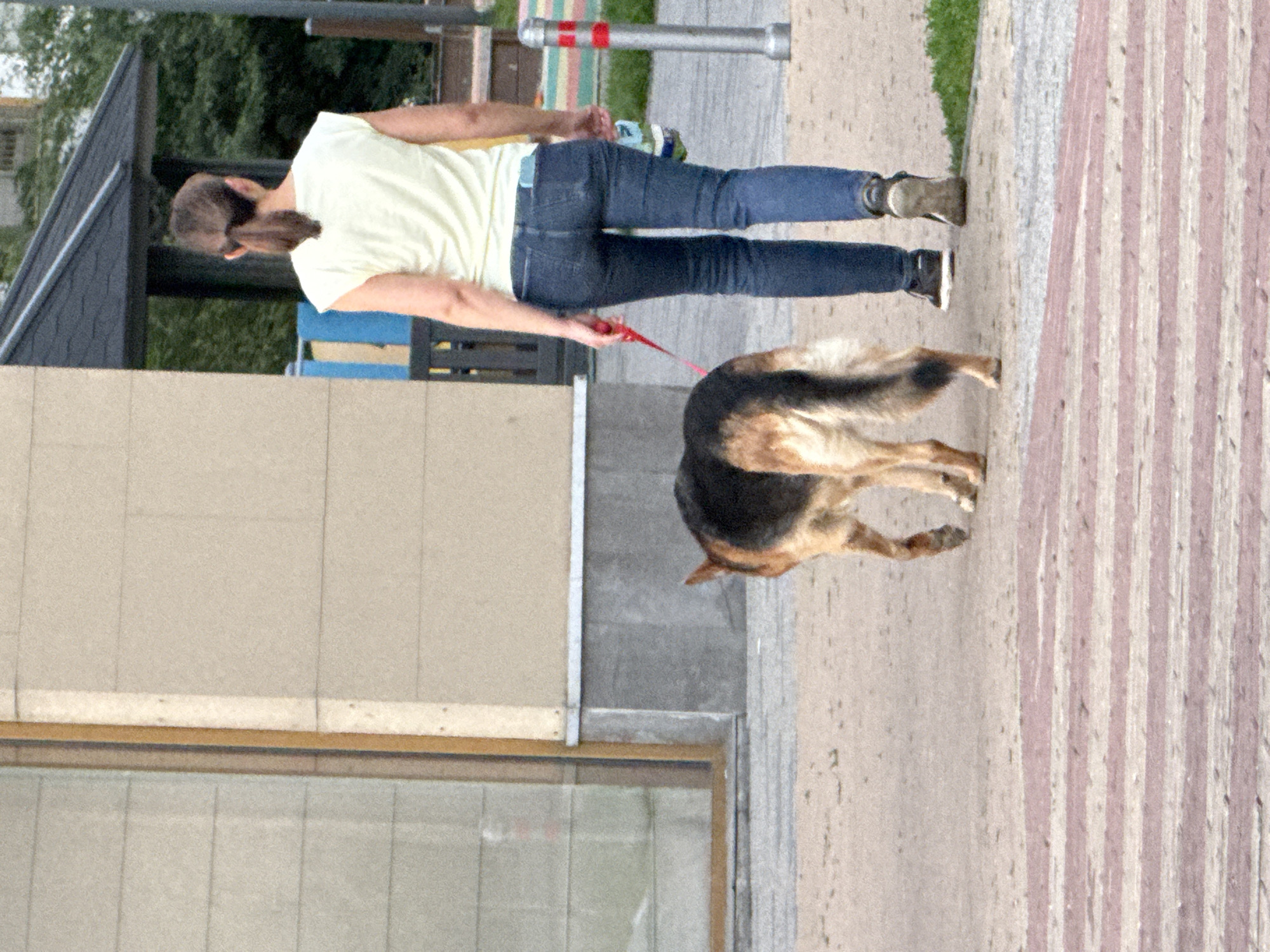 The image depicts a person and a dog walking on a paved pathway in an outdoor setting. The person, seen from behind, is wearing a light-colored t-shirt and blue jeans. They are holding a red leash attached to the dog. The dog appears to be a German Shepherd or a similar breed, with dark and tan fur. The pathway is bordered by a strip of grass on one side and a textured surface with vertical stripes on the other. In the background, there's a building with a beige facade, a dark-colored roof structure, and some greenery. The lighting suggests it could be daytime, possibly overcast or with diffused sunlight. The scene appears to be in an urban or park-like environment, with elements like a metal post with colored bands visible. There is no visible text in the image.