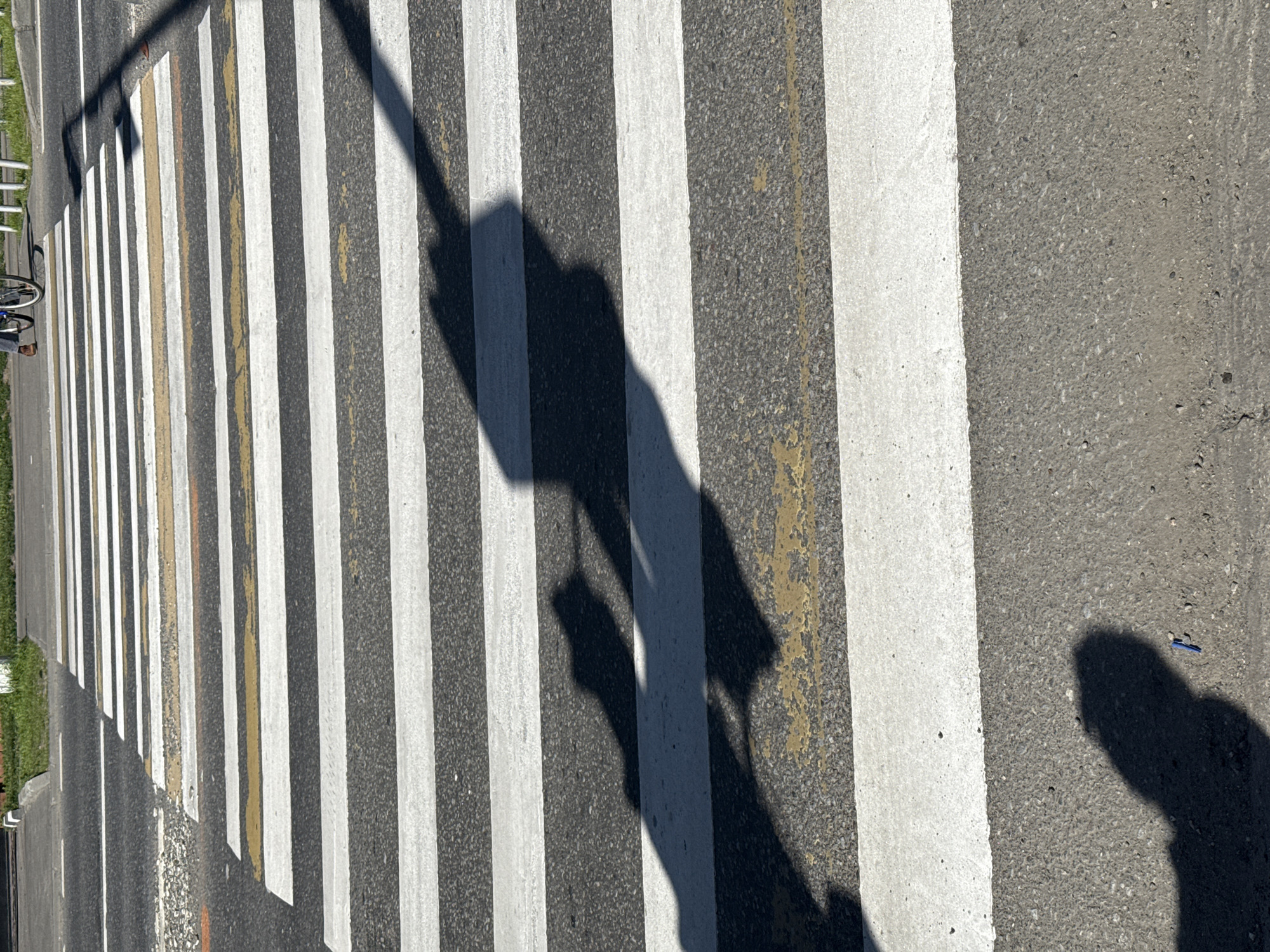 The image displays a pedestrian crossing with alternating white and dark stripes painted on an asphalt road. A long shadow, cast by an unseen person or object, stretches diagonally across the crossing, obscuring some of the stripes. To the left of the crossing, a portion of a bicycle is visible, suggesting someone might be nearby or have recently passed. The sunlight casts distinct shadows, indicating a bright day with the sun positioned at an angle, likely late morning or early afternoon. The scene is outdoors, on a road, with some greenery visible at the far left edge. The presence of the pedestrian crossing, bicycle, and shadows implies a public space where people might be moving about. There is no visible text in the image. The location is identified as Krasnogorsk, Russia.