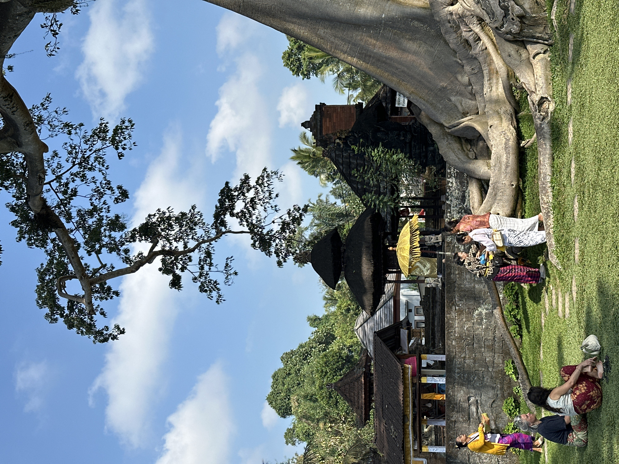 In the city of Marga, Indonesia, a group of people are gathered in a grassy area in front of a stone wall and traditional buildings. A large tree with extensive roots dominates the right side of the frame, its branches extending overhead.
Several individuals are present. In the foreground, two people sit on the grass, facing towards a group of three people standing near the stone wall. One of the standing individuals, dressed in a yellow top and patterned purple skirt, holds a woven basket. Another standing person wears a white top and patterned skirt and is holding what appears to be a tray or offering. Two individuals in the standing group are interacting, possibly exchanging items. A fourth person, dressed in a colorful patterned top and a red and black striped skirt, is also standing in this group.
Behind the standing individuals, traditional Indonesian buildings are visible, characterized by their dark, multi-tiered roofs and intricate carvings. A bright yellow umbrella stands near one of the structures. The background is filled with lush green trees and palm trees, suggesting a tropical environment. The sky above is blue with scattered white clouds. The overall scene suggests a cultural or religious gathering.
