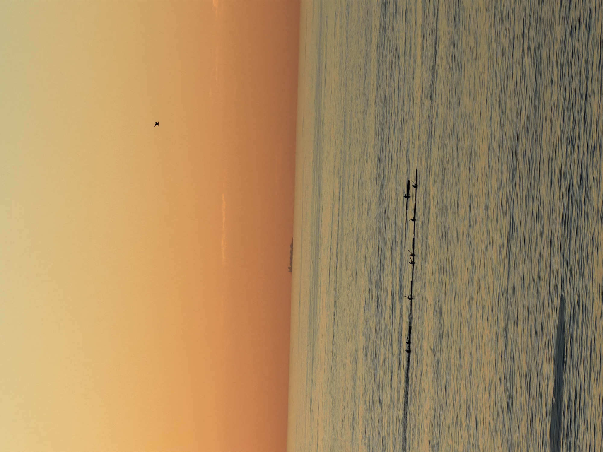 The image shows a body of water next to an expanse of light orange sky, split vertically. A bird flies in the sky's left side. A series of wooden posts extend vertically into the water. Small, dark shapes are seen on some posts, likely birds. The water's surface is rippled, indicating wind. The location is not evident in this image. It could potentially be the coastline around Cape Town, South Africa, but without further context or landmarks, the location can't be definitively determined.
