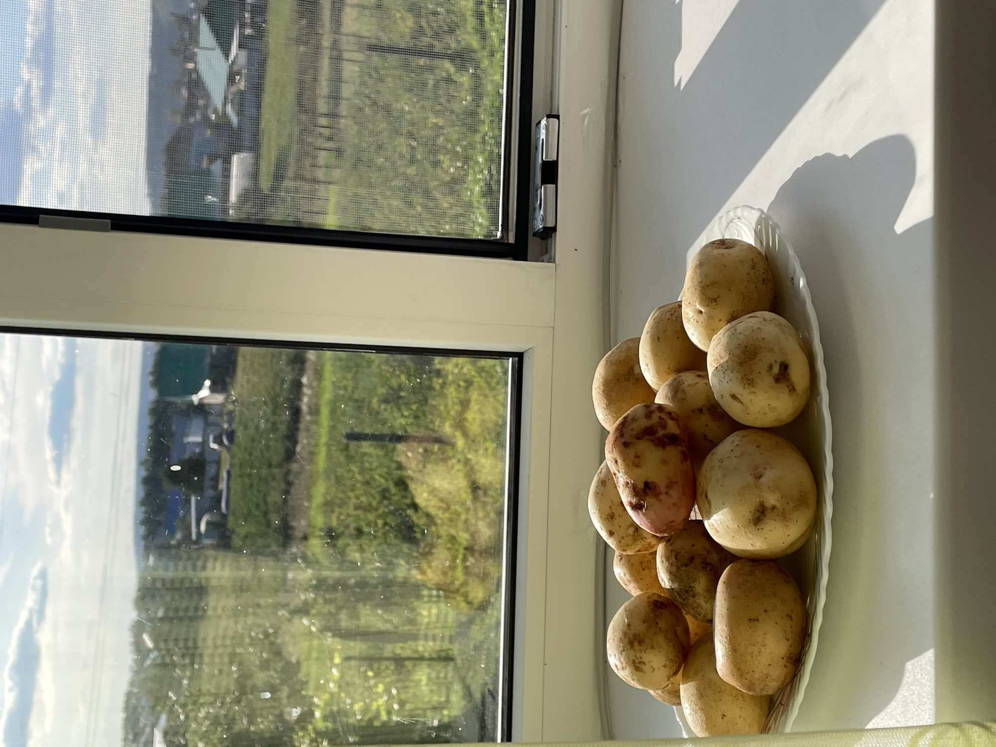 A close-up, medium shot shows a plate of freshly harvested potatoes on a windowsill. The potatoes are golden-brown with some red markings. Behind the plate, a window looks out onto a rural landscape. In the distance, there are houses with green roofs, fields, and trees under a cloudy sky. The sun casts shadows on the windowsill. The scene appears to be in Yermekeyevo, Russia, as indicated by the presence of a Russian-style rural settlement. There are no people or animals visible in the image. The focus is on the potatoes and the view outside.