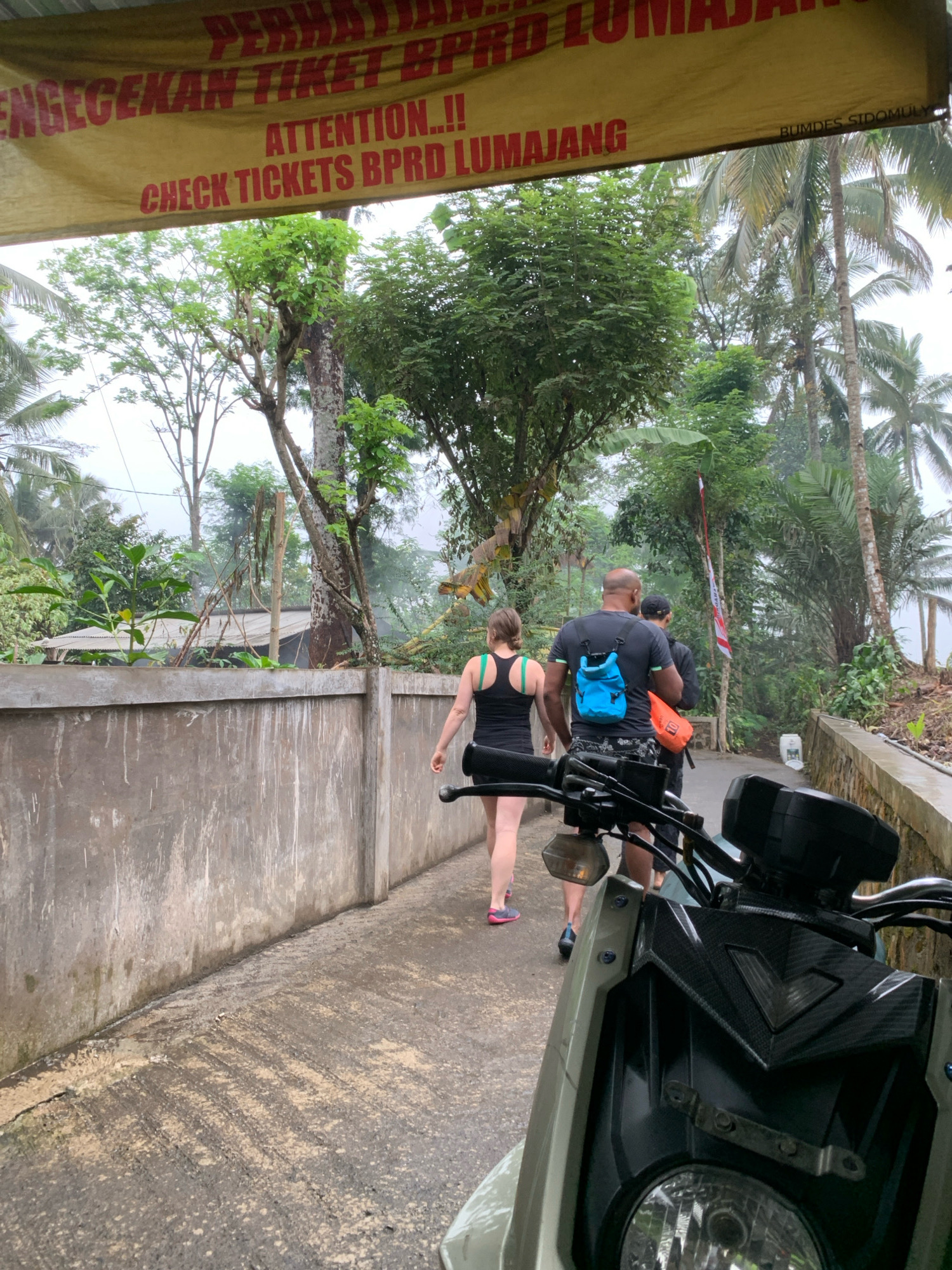 An outdoor medium shot captures three individuals walking along a paved path in Sidomulyo, Indonesia. The path runs alongside a gray concrete wall. Ahead of the pedestrians, a partially visible light-colored motorcycle is parked. The man in the middle wears a black t-shirt with a blue backpack, while the woman in front of him is dressed in a black tank top and shorts. Another individual, partially obscured, walks behind the man. The background reveals lush greenery with palm trees and other tropical vegetation. A large yellow banner with red text, reading "PERHATIAN...!!! ENGGECEKAN TIKET BPRD LUMAJANG ATTENTION...!! CHECK TICKETS BPRD LUMAJANG" and "BUMDES SIDOMULY", is stretched across the top of the frame. The weather appears overcast.